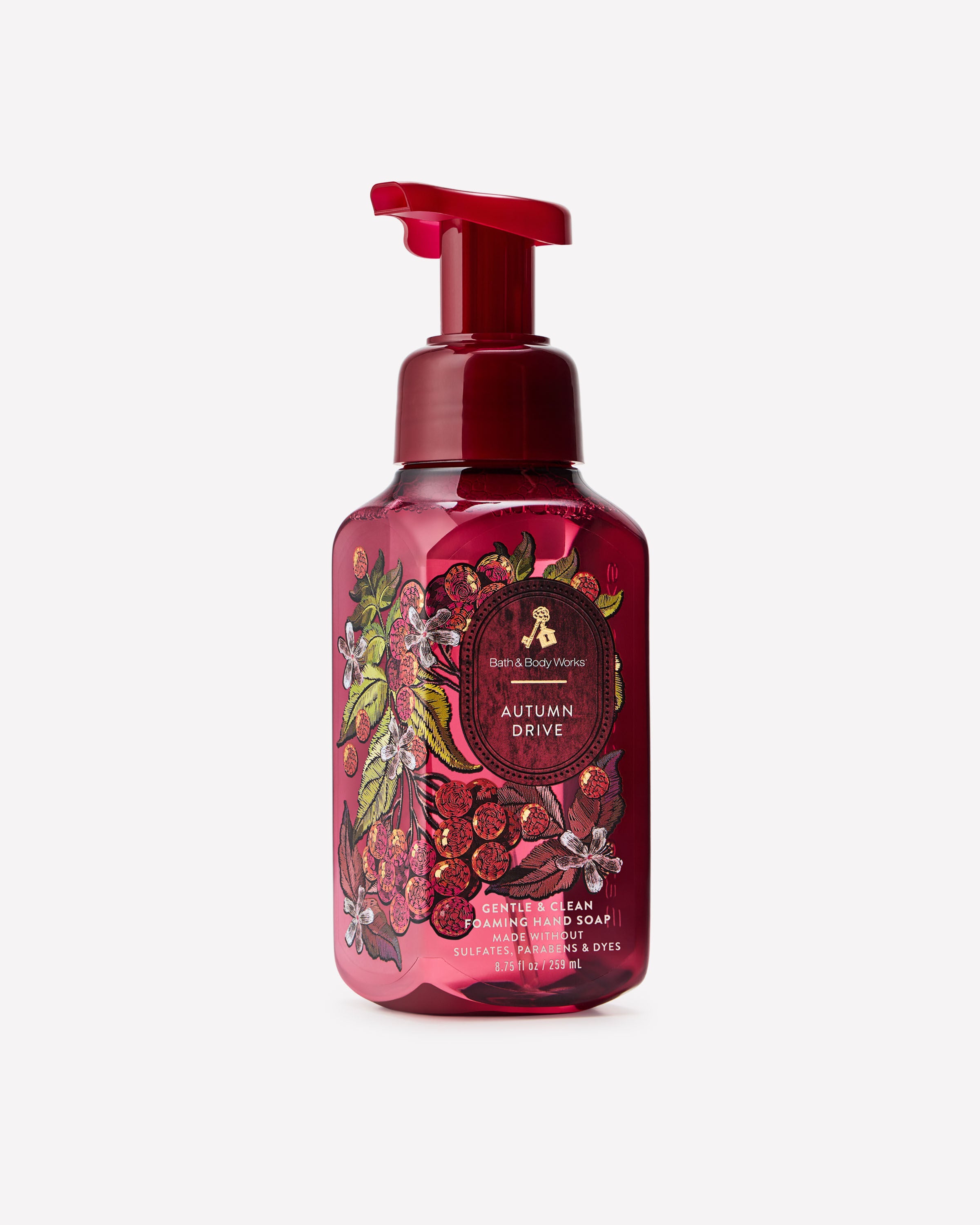 Foaming Hand Soap: Scents You'll Love | Bath & Body Works