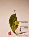 Cactus Blossom Single Wick Candle