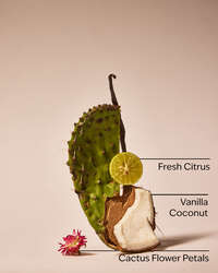 Cactus Blossom Single Wick Candle