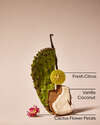 Cactus Blossom Single Wick Candle