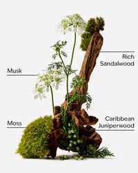 Santal Ridge Ultimate Hydration Body Cream