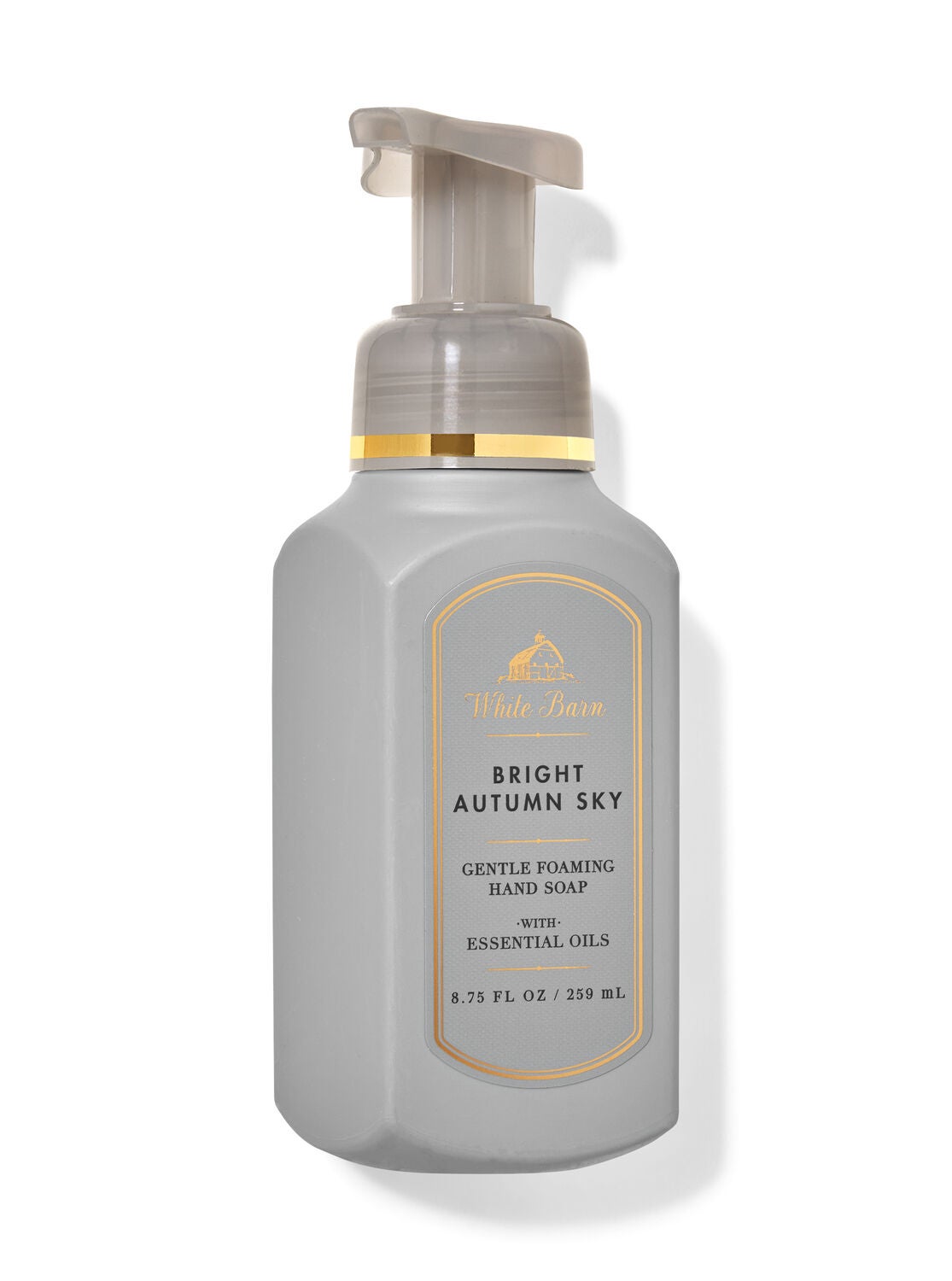 Bright Autumn Sky Gentle Foaming Hand Soap