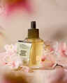Japanese Cherry Blossom Wallflowers Fragrance Refill
