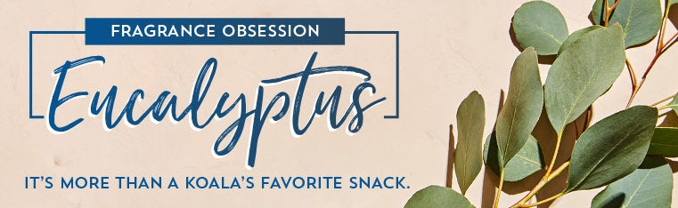 Fragrance Obsession: Eucalyptus. It’s more than a koala’s favorite snack.