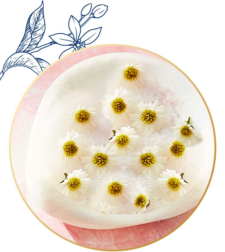 Chamomile essential oil