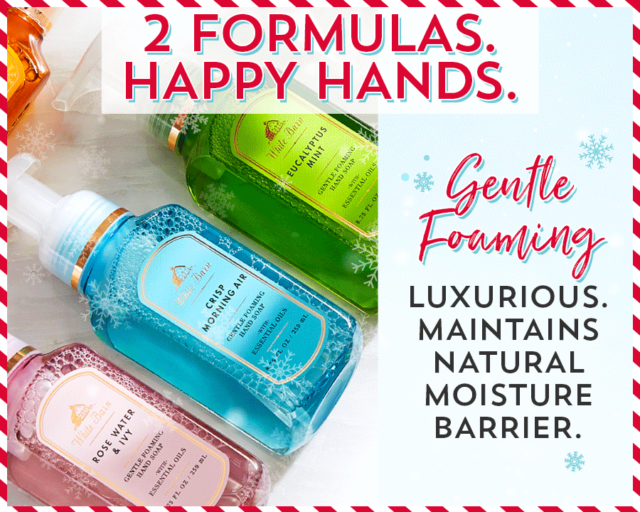 Hand Soap Sale Bath & Body Works