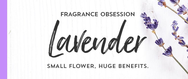 Fragrance obsession. Lavender. Small flower, huge benefits.