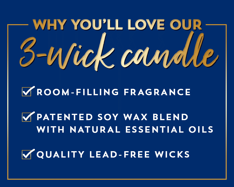 Scented Candles 3 Wick And Single Wick Bath Body Works Scented Candles 3 Wick And Single Wick Bath Body Works
