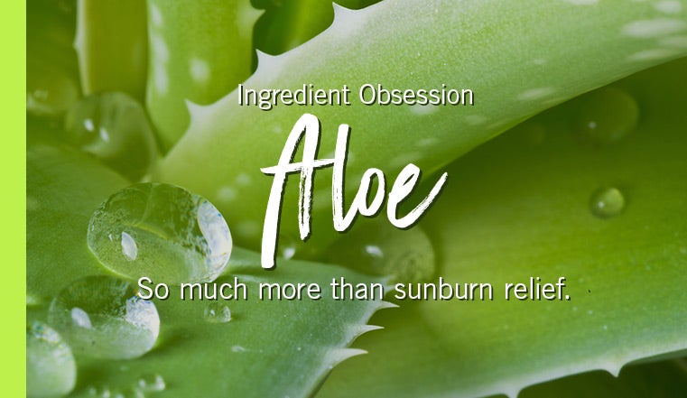 Ingredient Obsession. Aloe. So much more than sunburn relief.