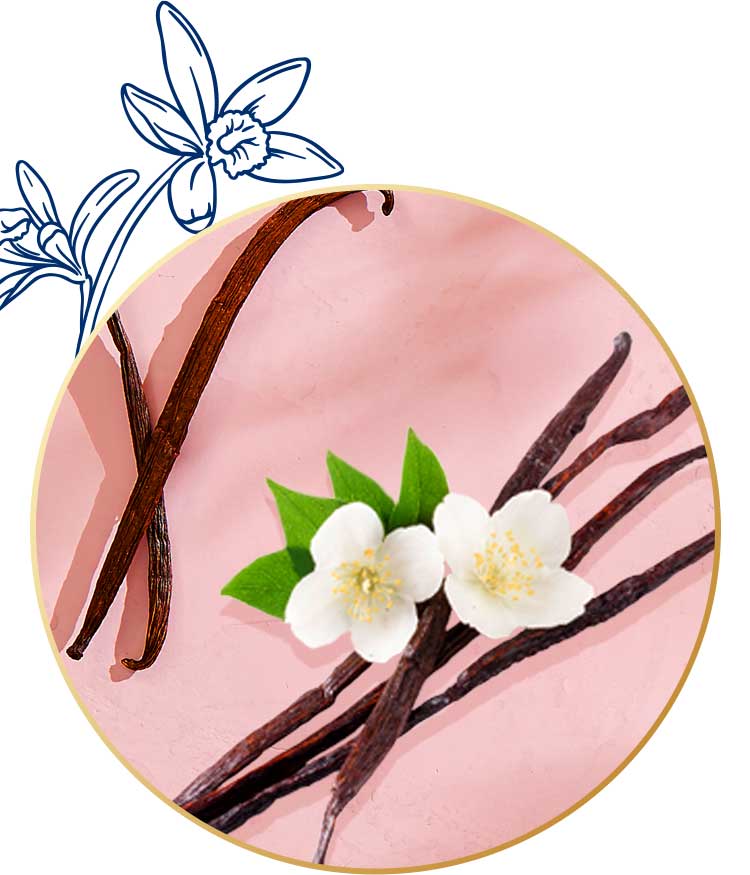 Vanilla essential oil