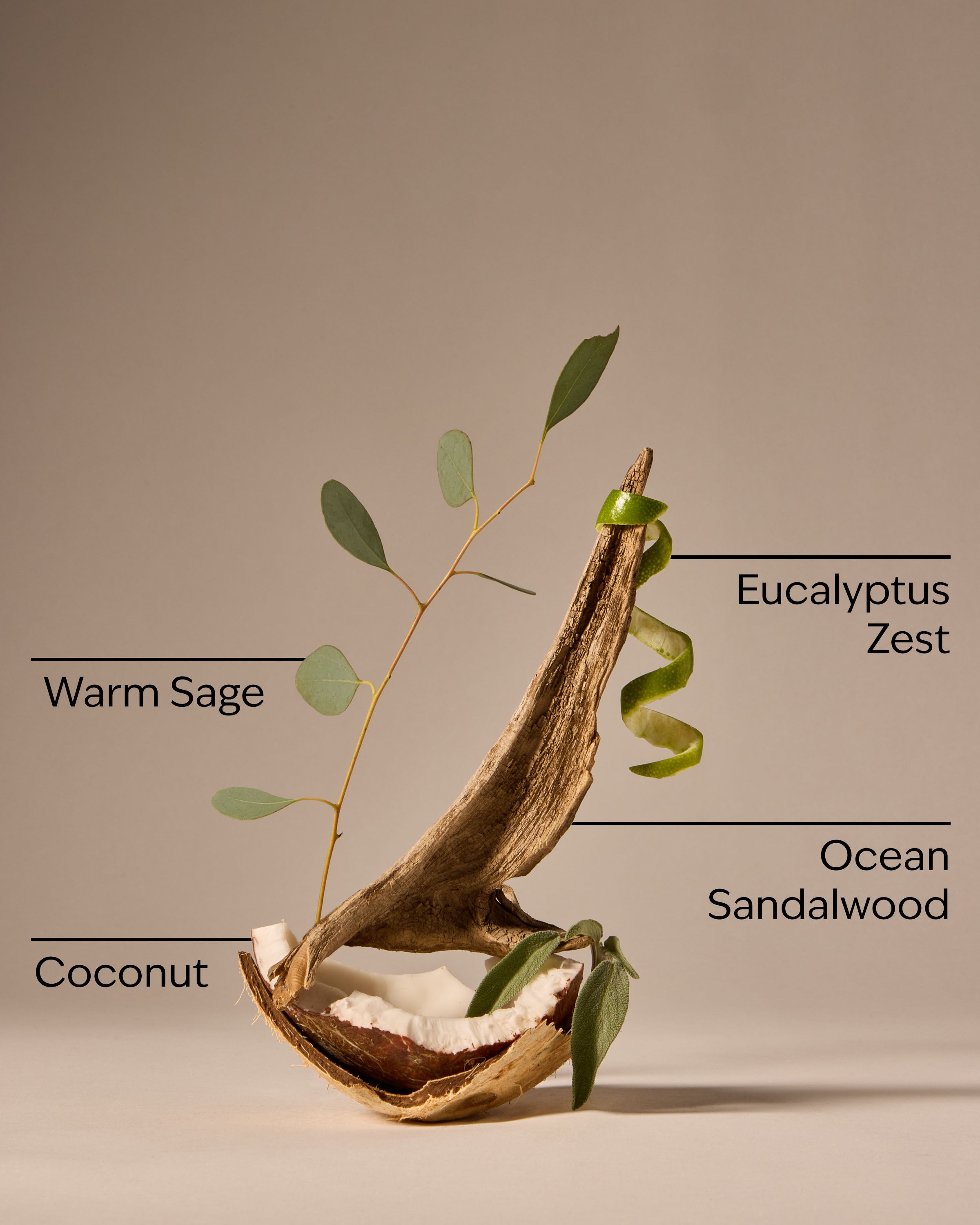 Warm Ocean Breeze 3-Wick Candle