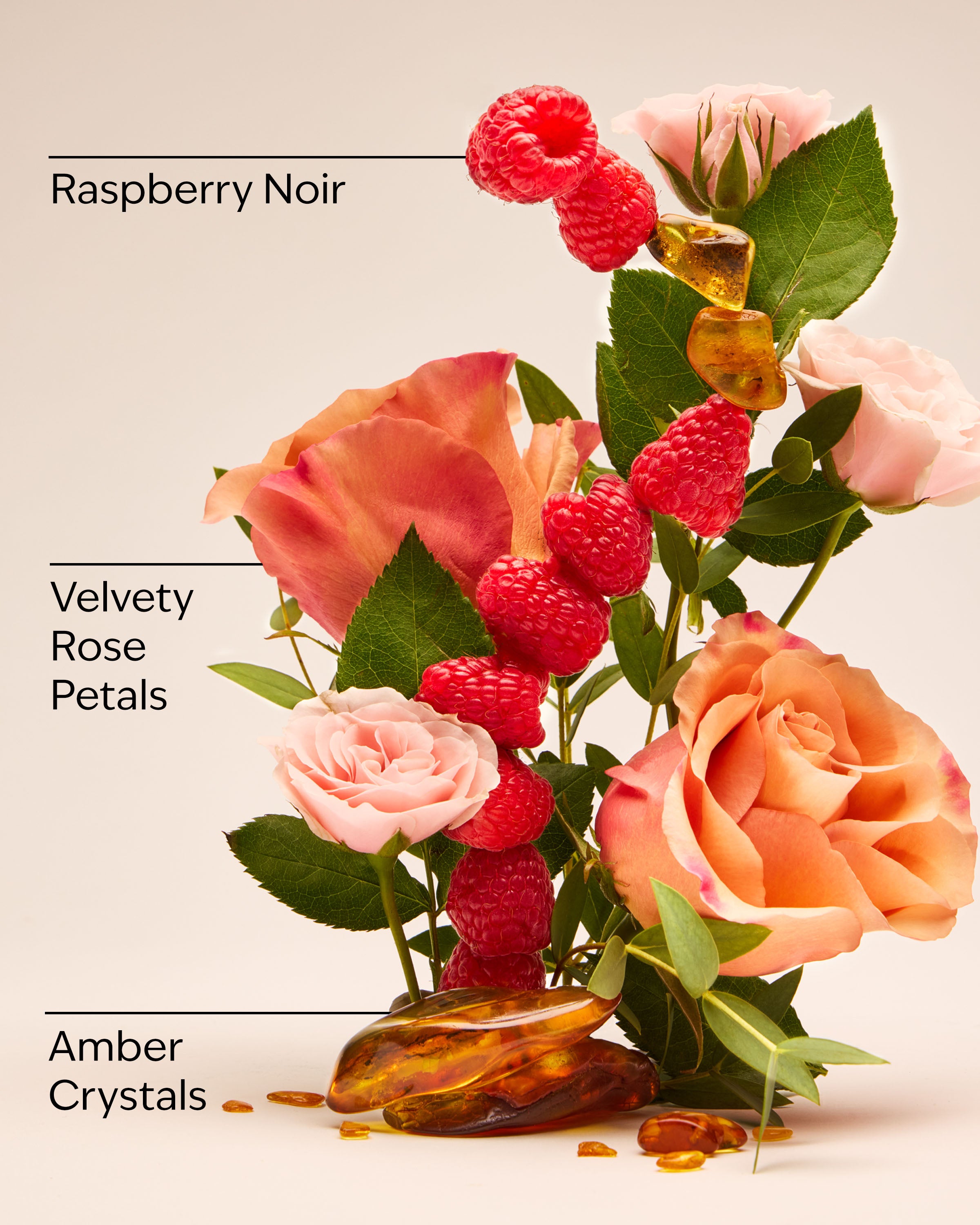 Into the Night Travel Size Fine Fragrance Mist