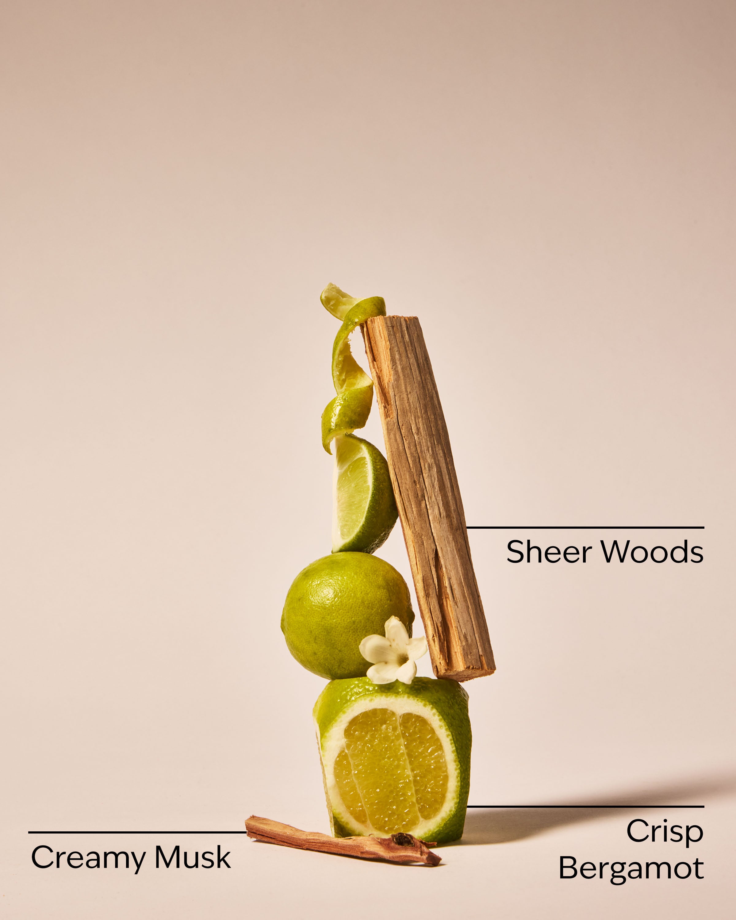 Fresh Musk Fine Fragrance Mist