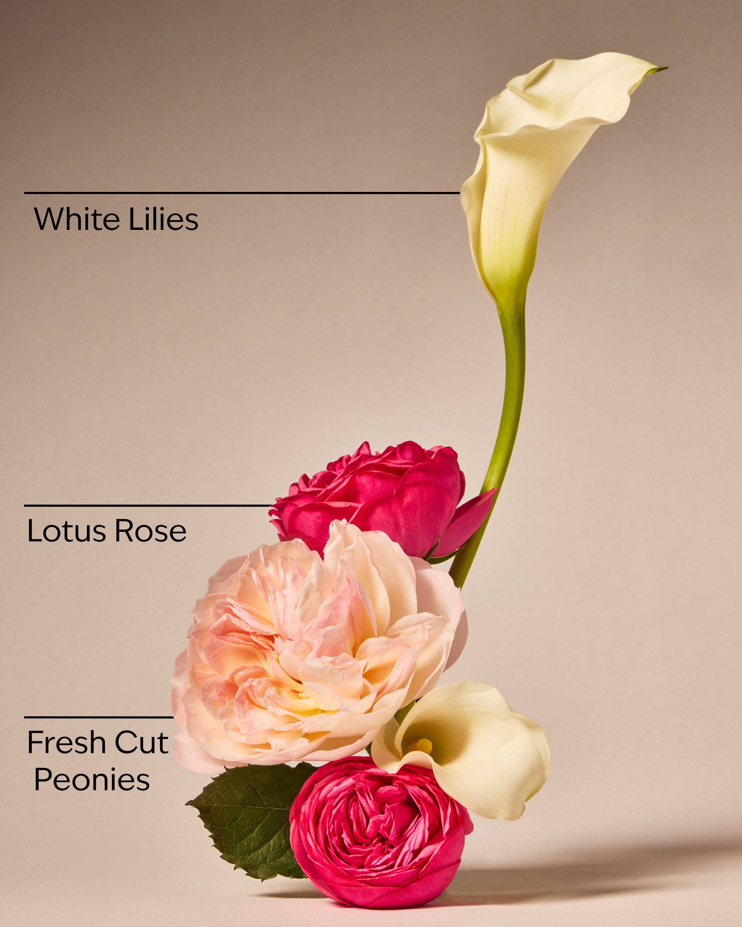 Flowers For Mom Wallflowers Fragrance Refill