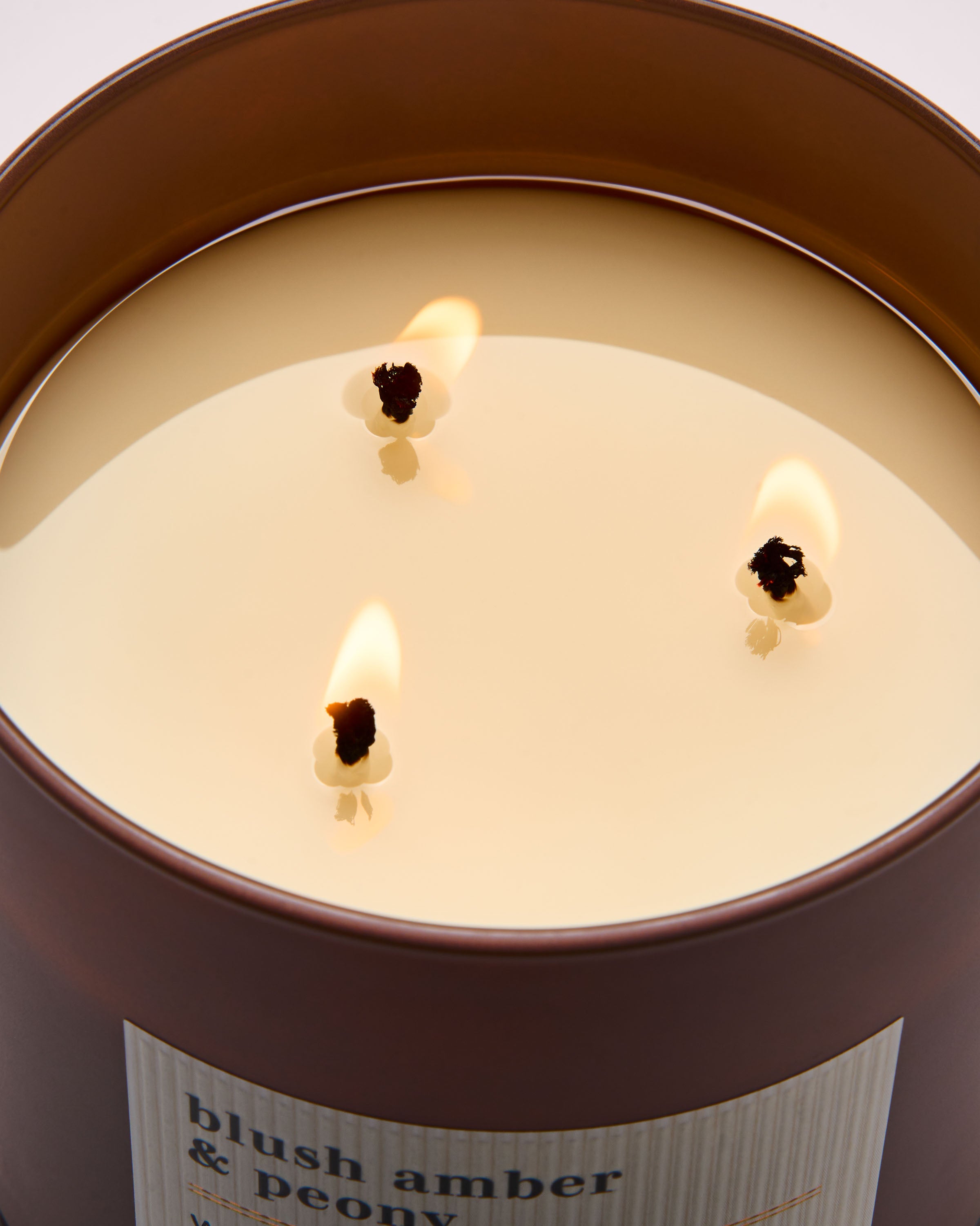 Blush Amber & Peony 3-Wick Candle