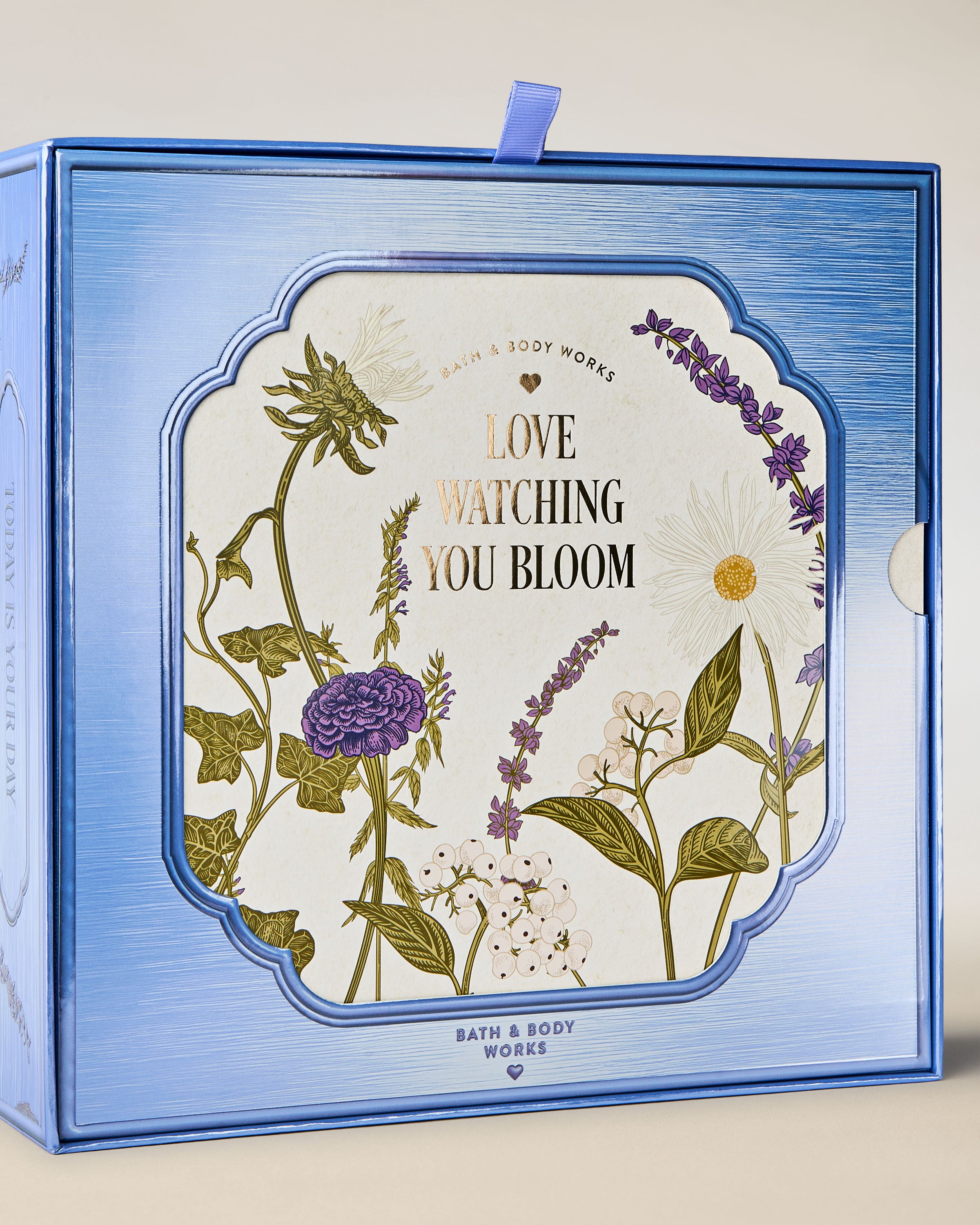 Lavender Vanilla Gift Set