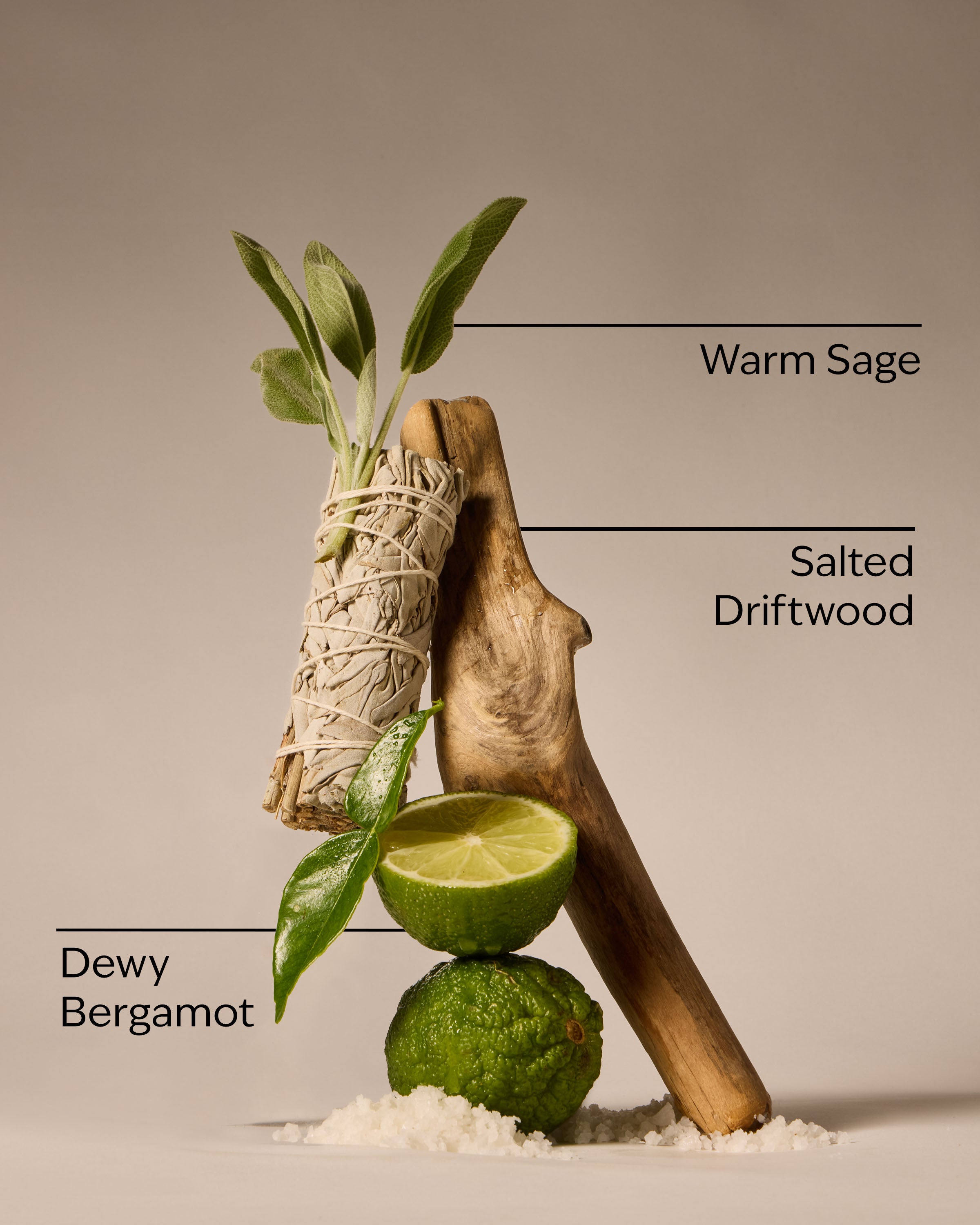 Salted Shorelines Fine Fragrance Mist