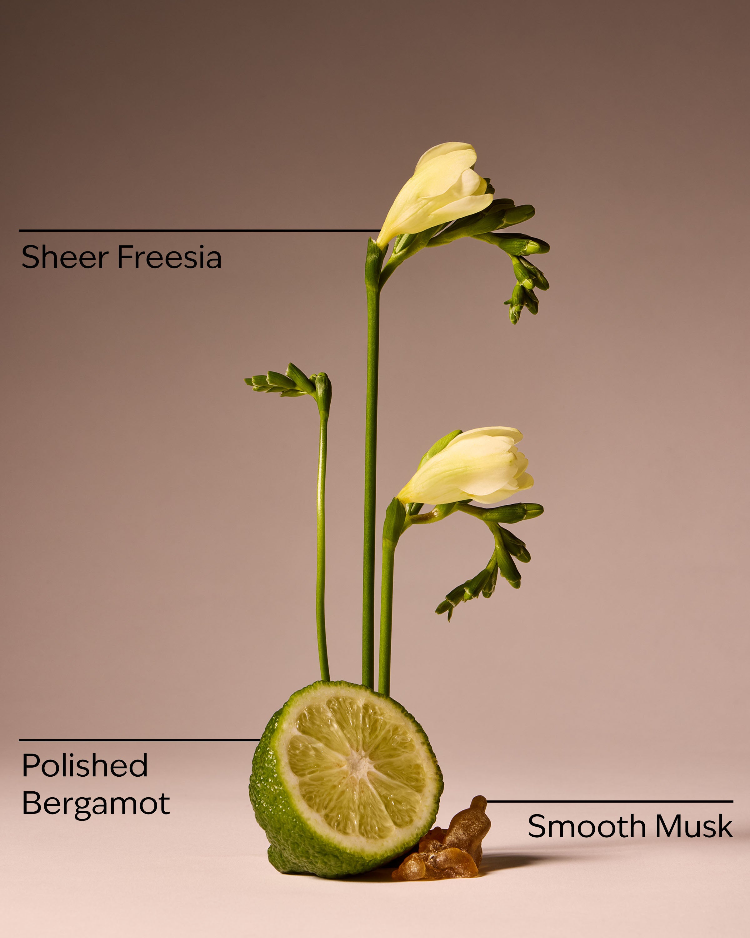 Lounge Talk Wallflowers Fragrance Refill