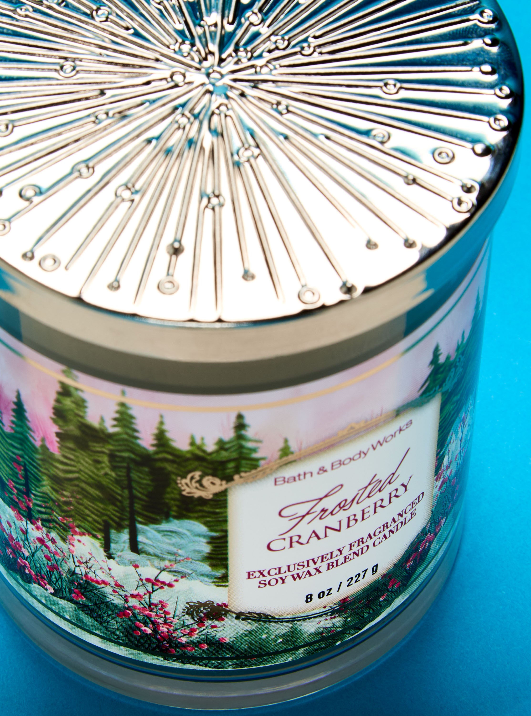 Frosted Cranberry Single Wick Candle