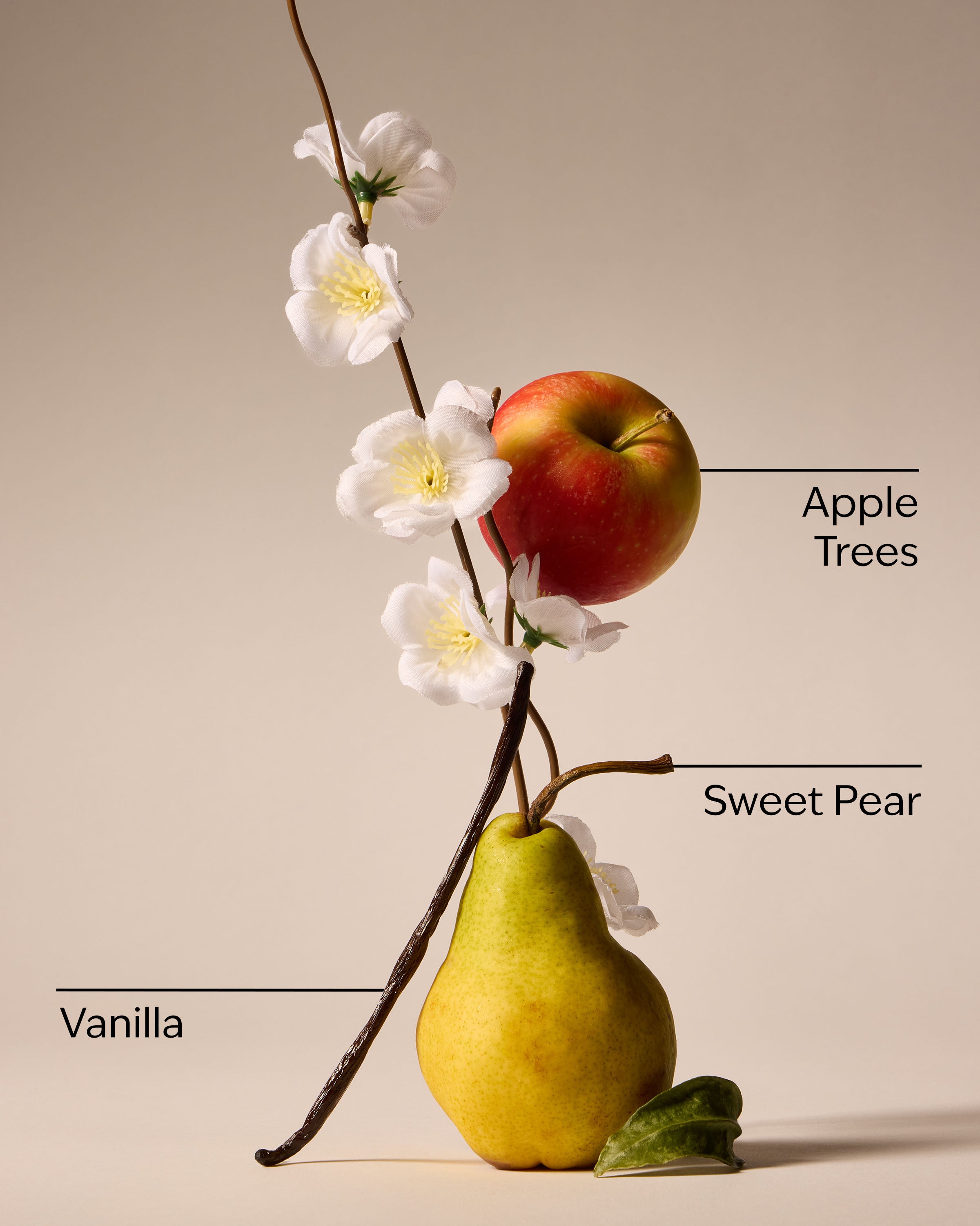 Spring Apple Car Fragrance Refill