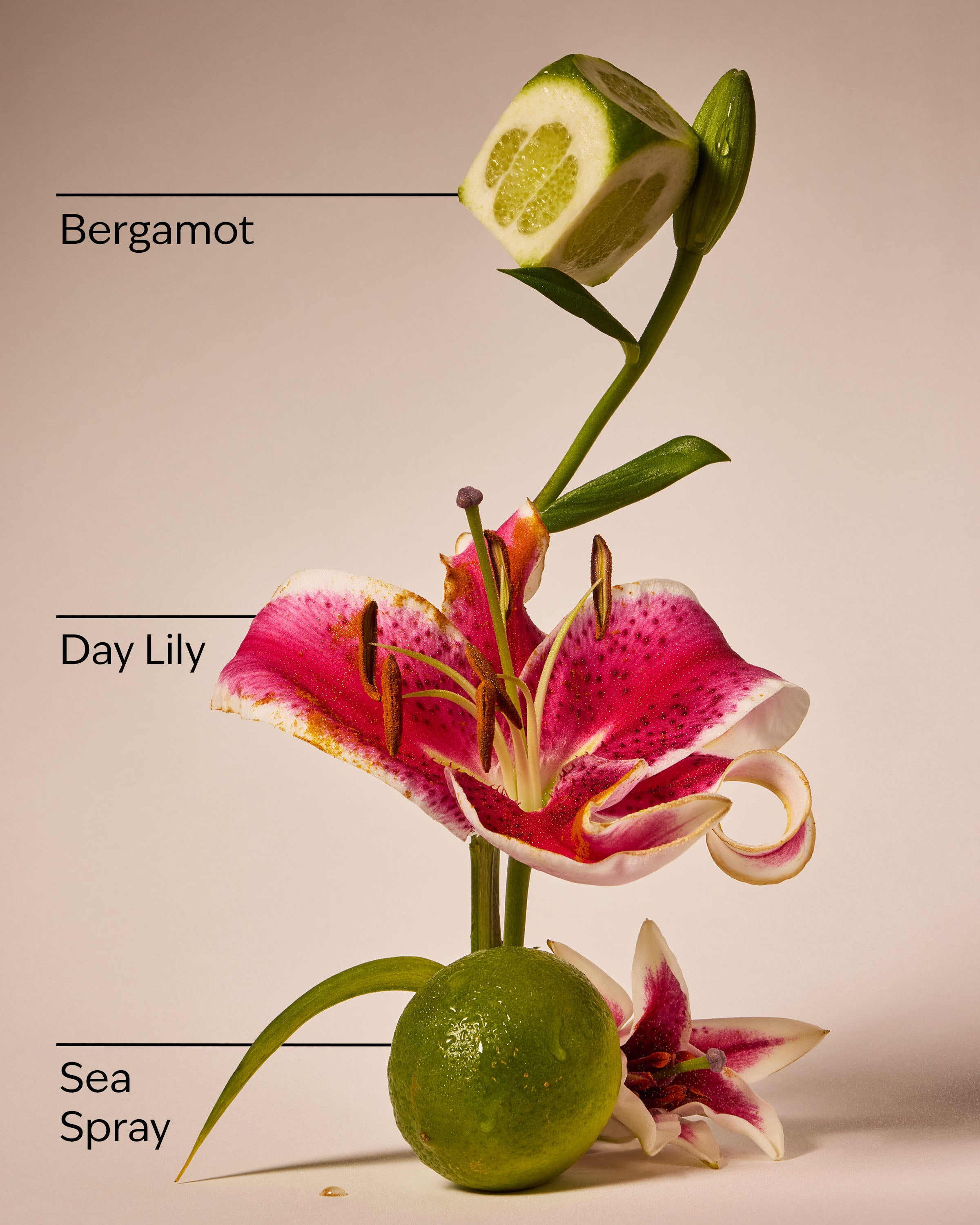 Turquoise Waters Gentle & Clean Foaming Hand Soap