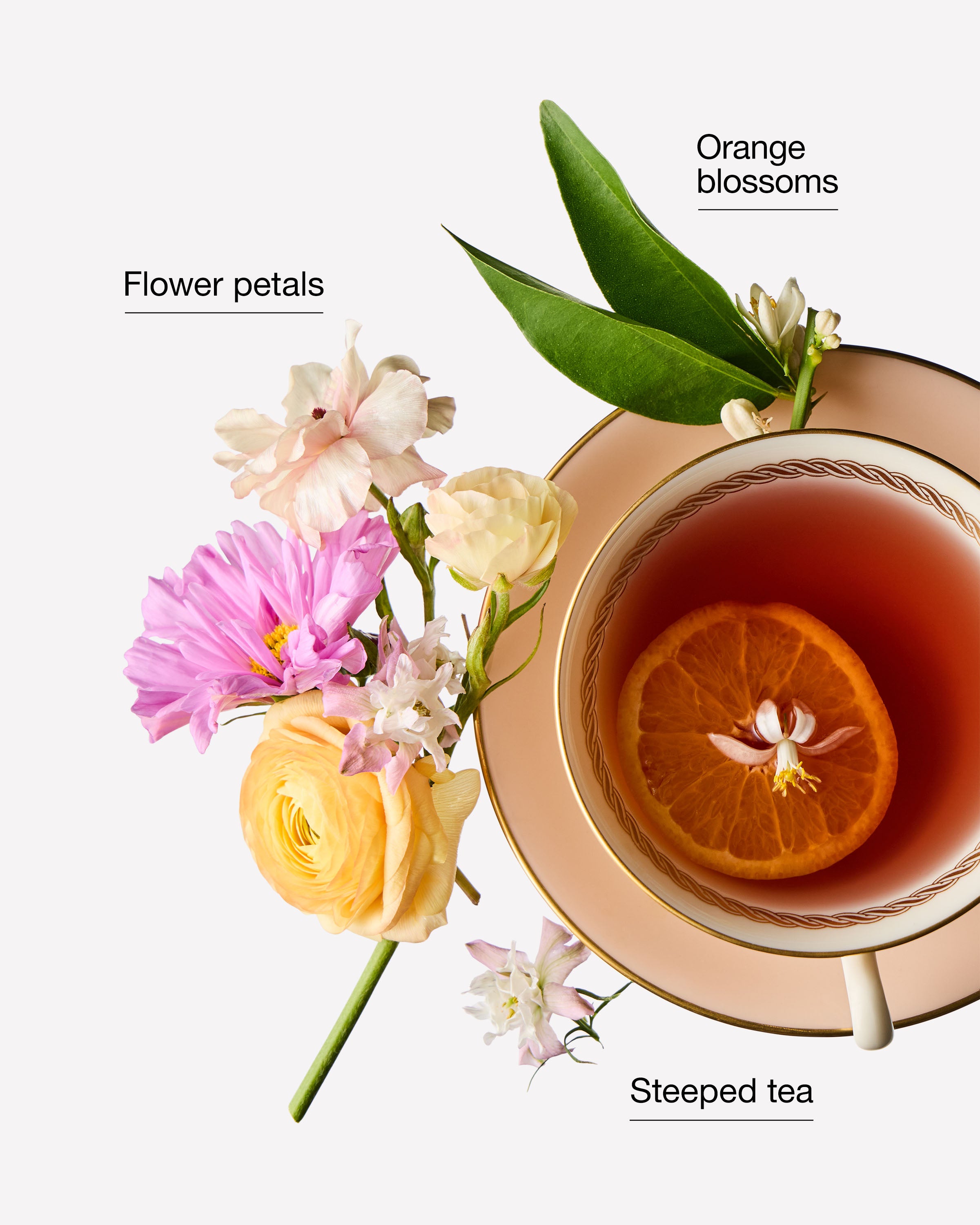 Soft Florals & Tea Daily Moisturizing Hand Soap