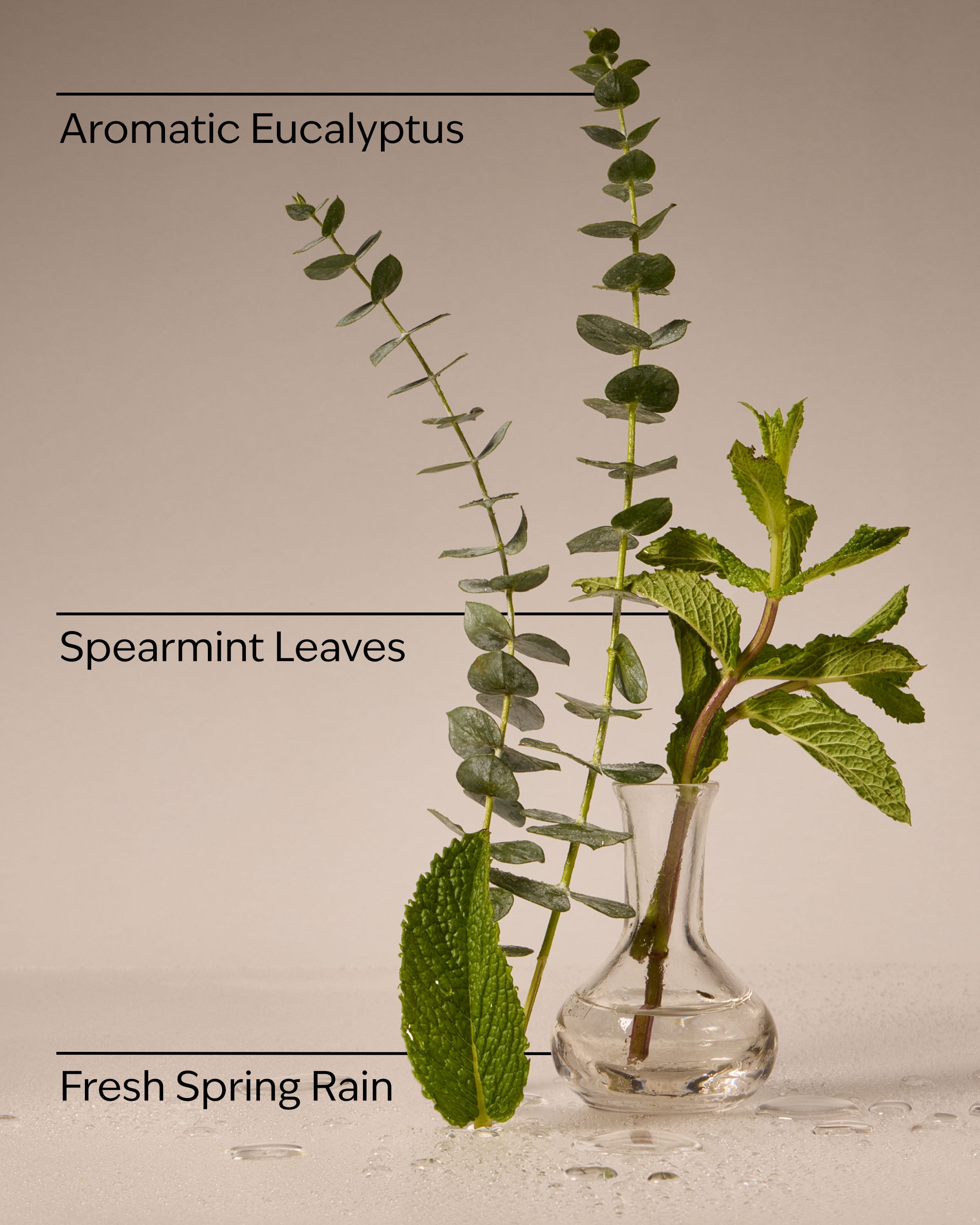 Eucalyptus Rain Concentrated Room Spray