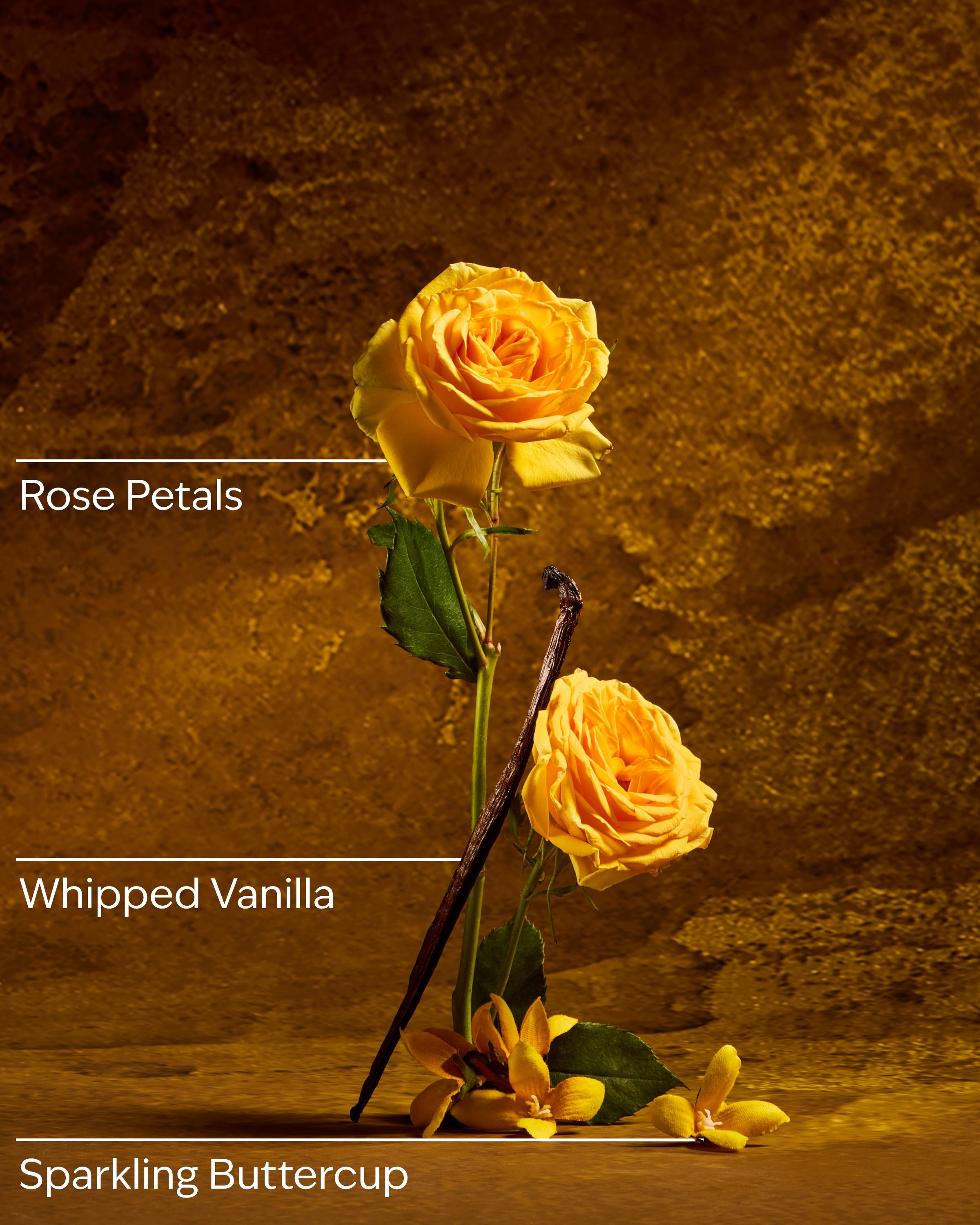 Belle Travel Size Fine Fragrance Mist