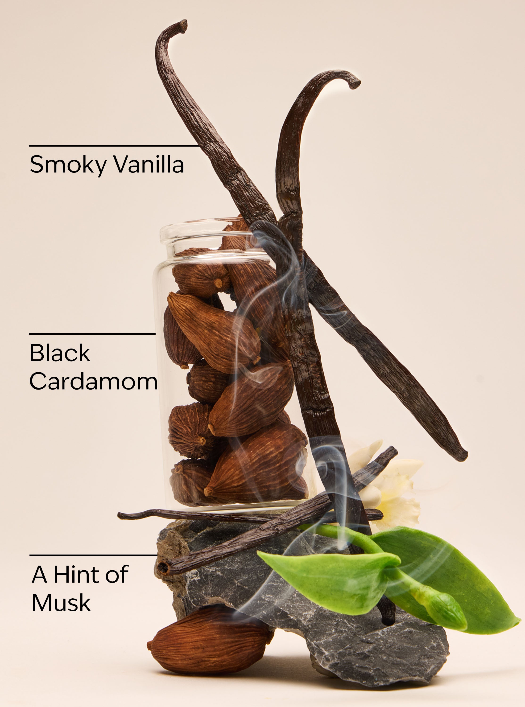 Noir Antiperspirant Deodorant