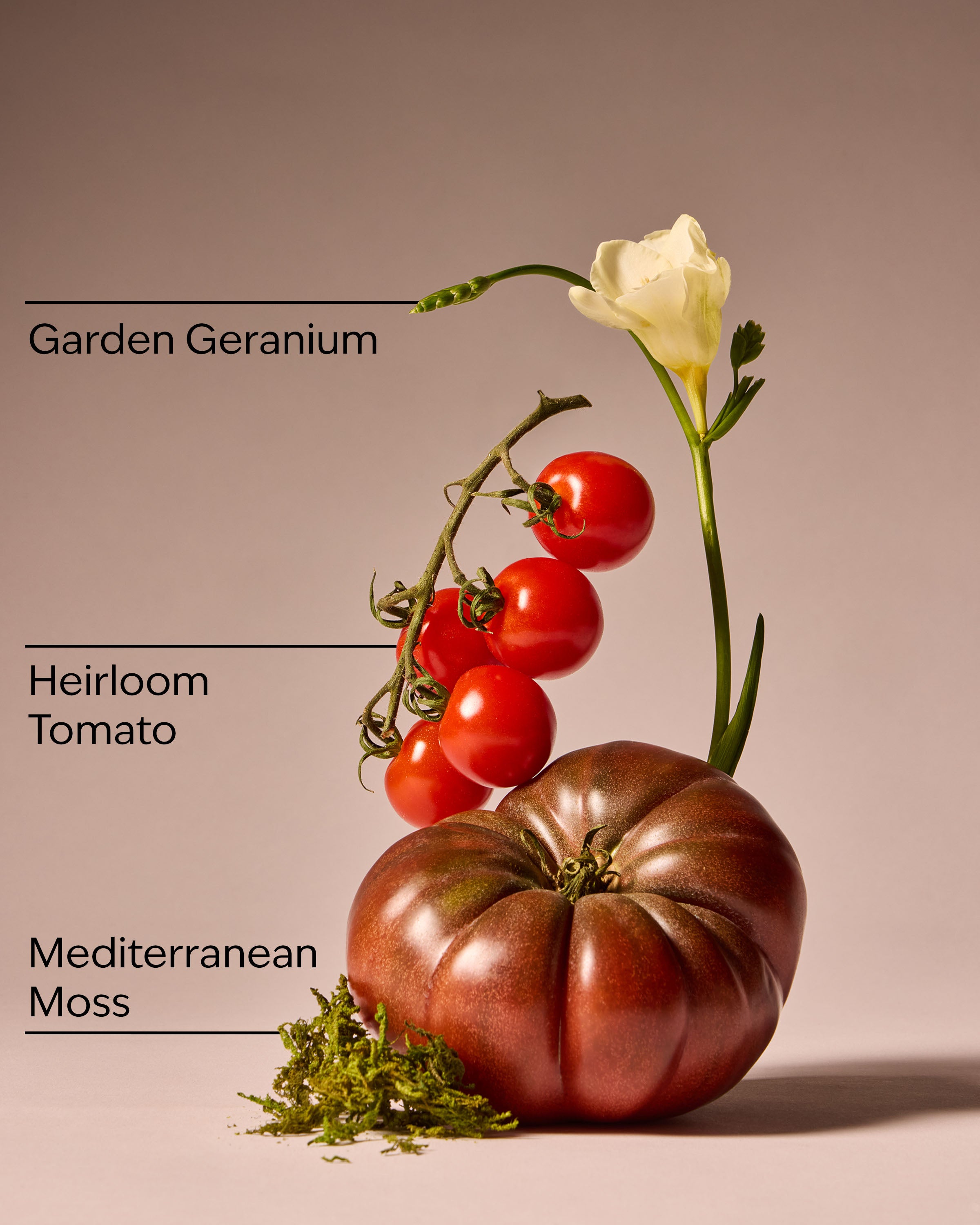 Off the Vine Ultimate Hydration Body Cream