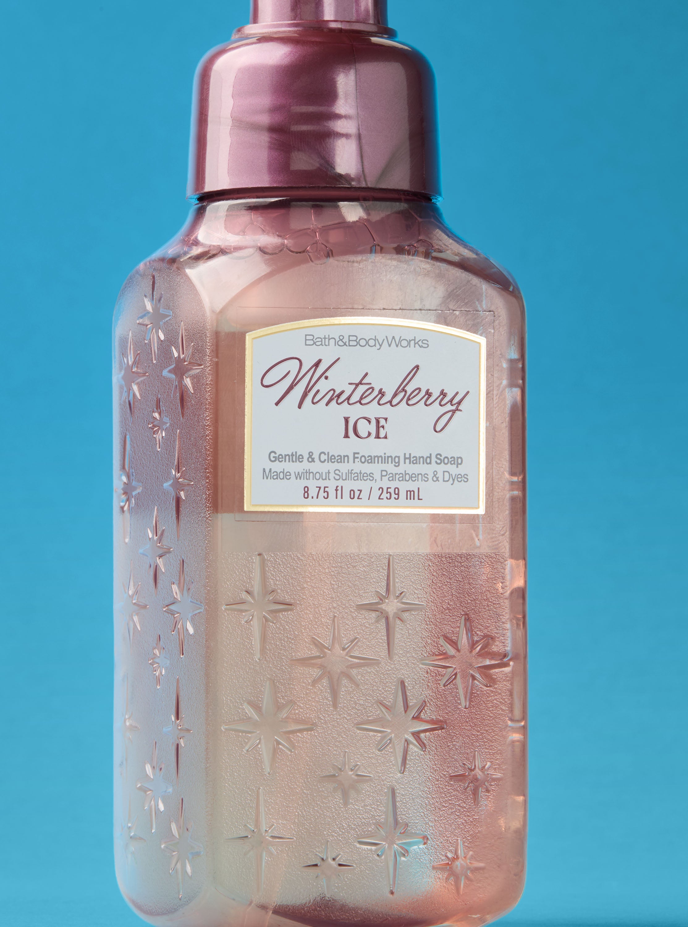 Winterberry Ice Gentle & Clean Foaming Hand Soap