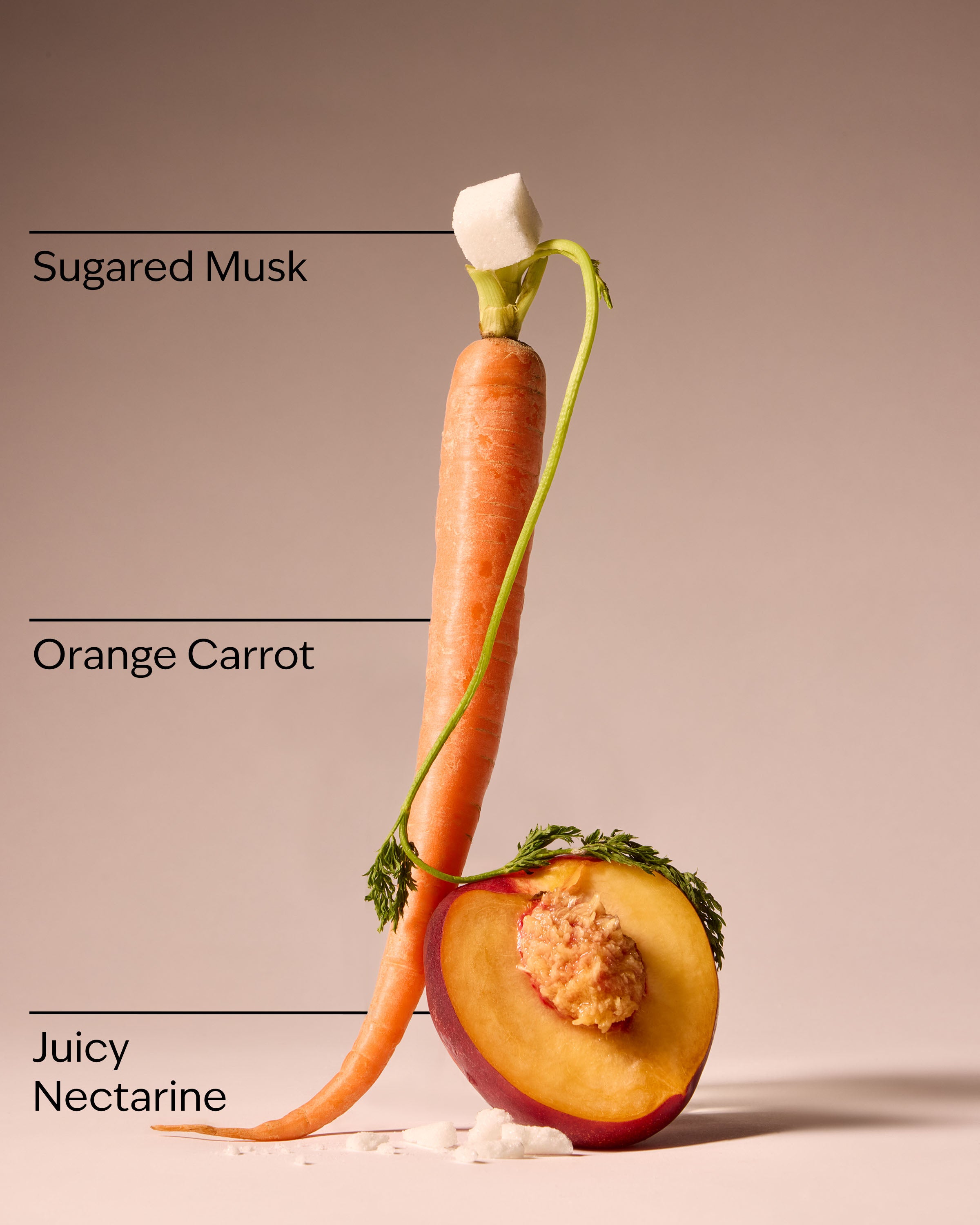 Carrot Charm Body Wash