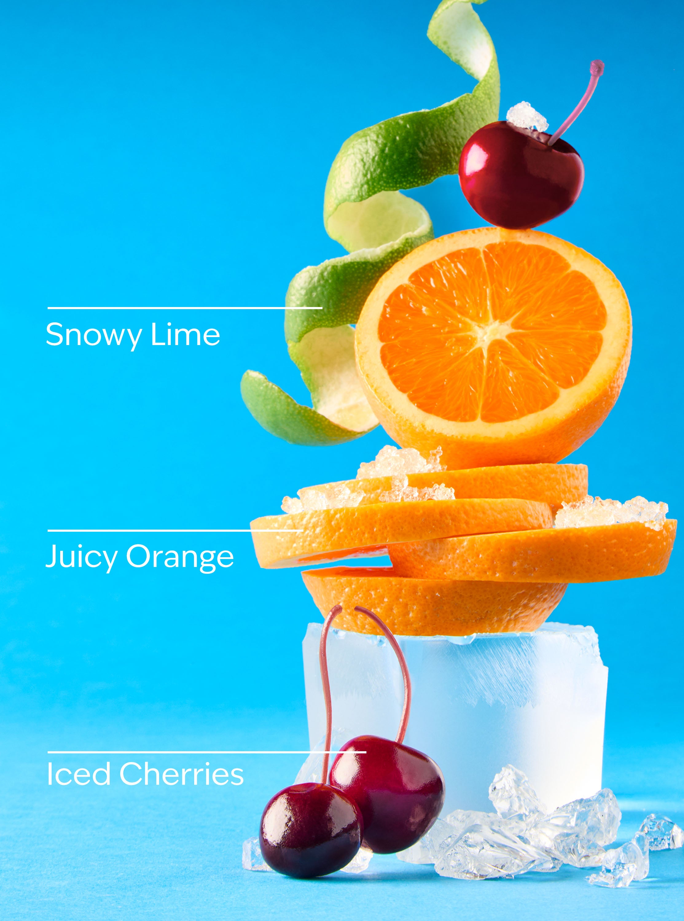 Winterberry Ice PocketBac Hand Sanitizer