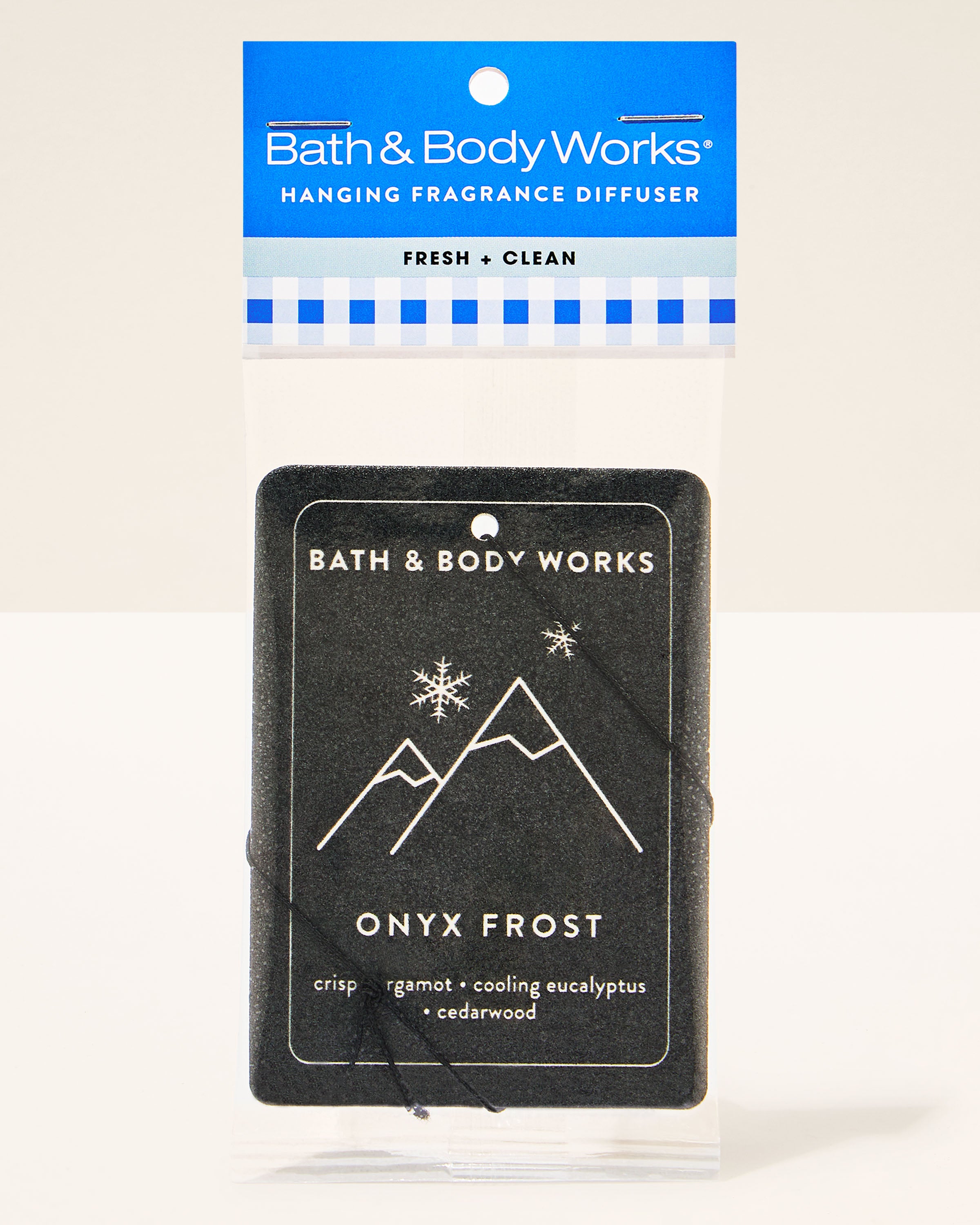 Onyx Frost Hanging Fragrance Diffuser