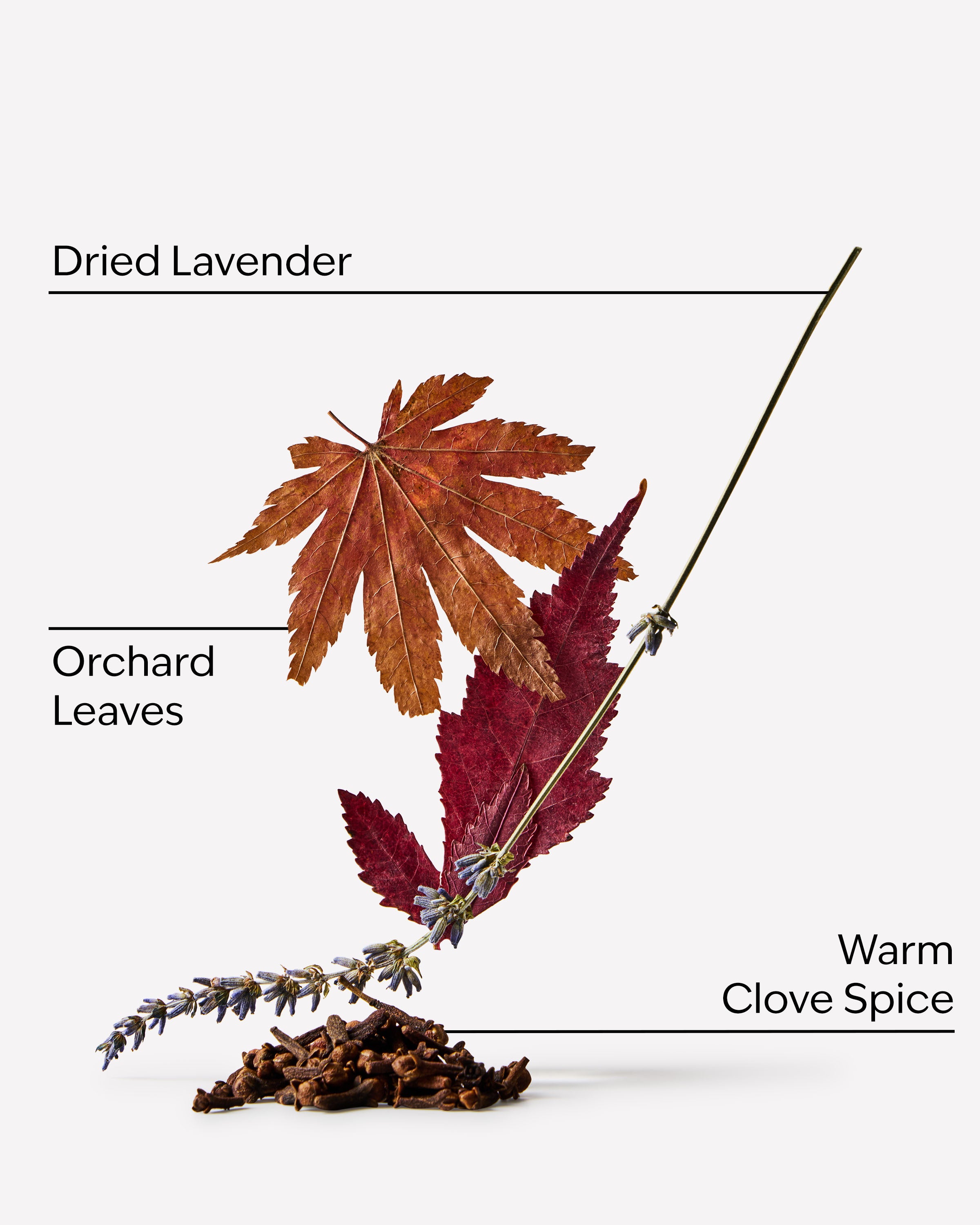 Lavender & Leaves 3-Wick Candle