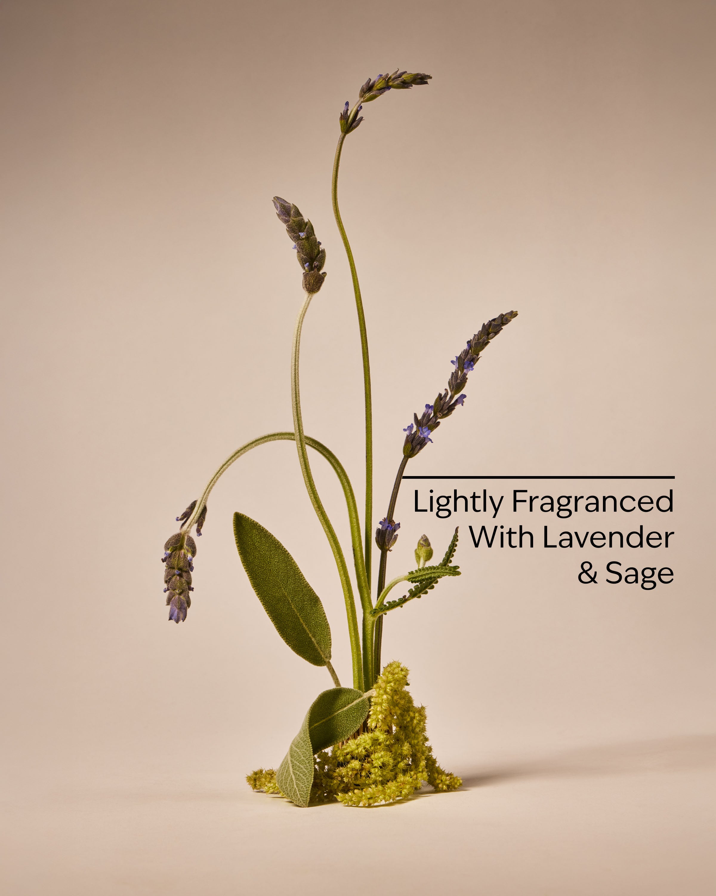 Lightly Fragranced With Lavender & Sage Aloe & Vitamin B5