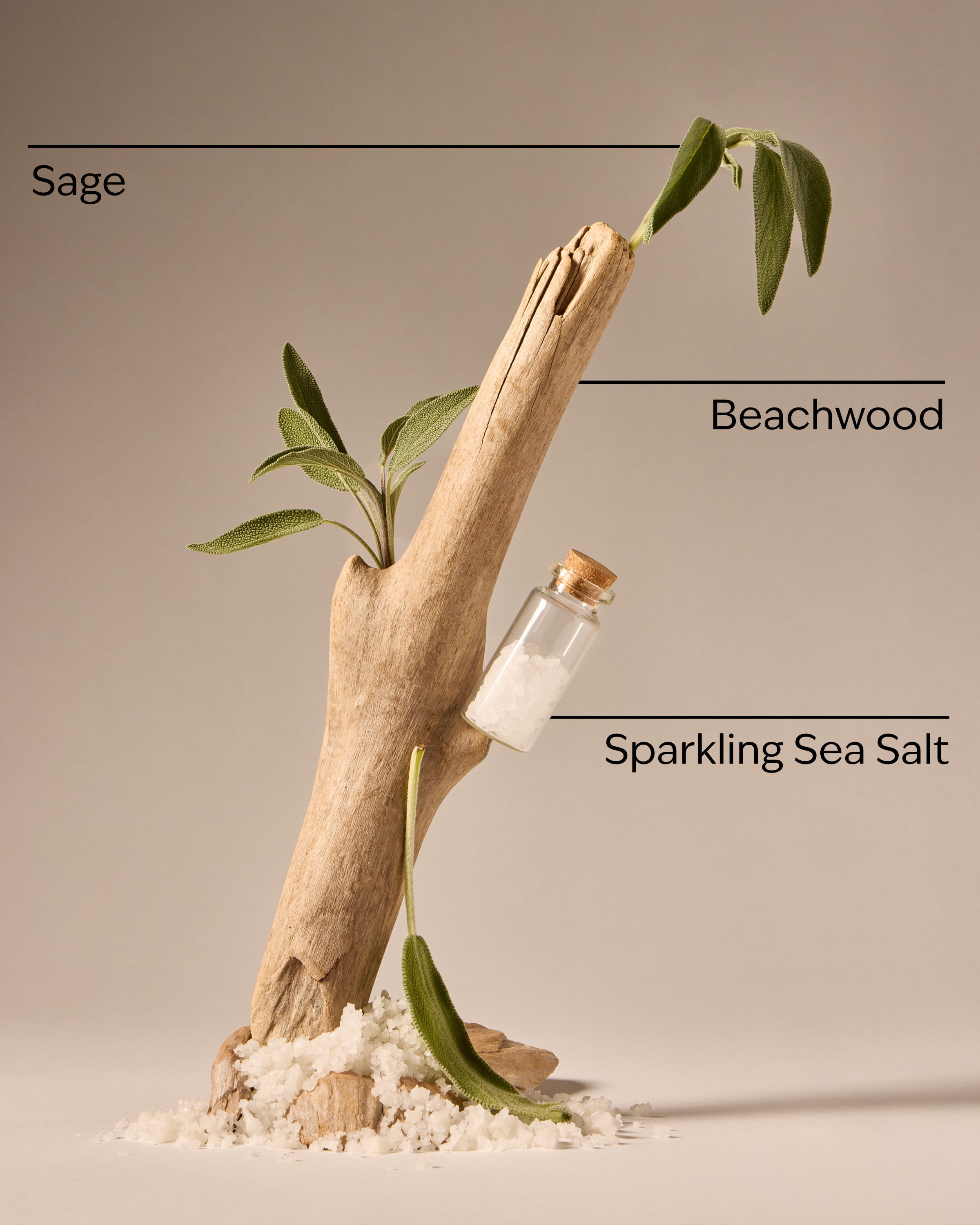 Sea Salt & Beechwood Gentle & Clean Foaming Hand Soap