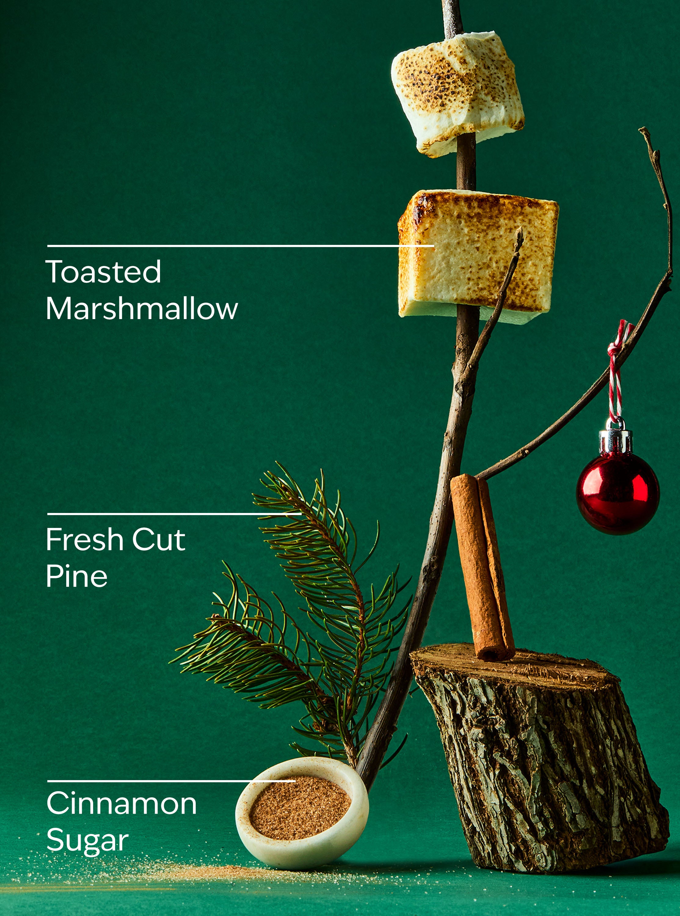 The Perfect Christmas Gentle & Clean Foaming Hand Soap