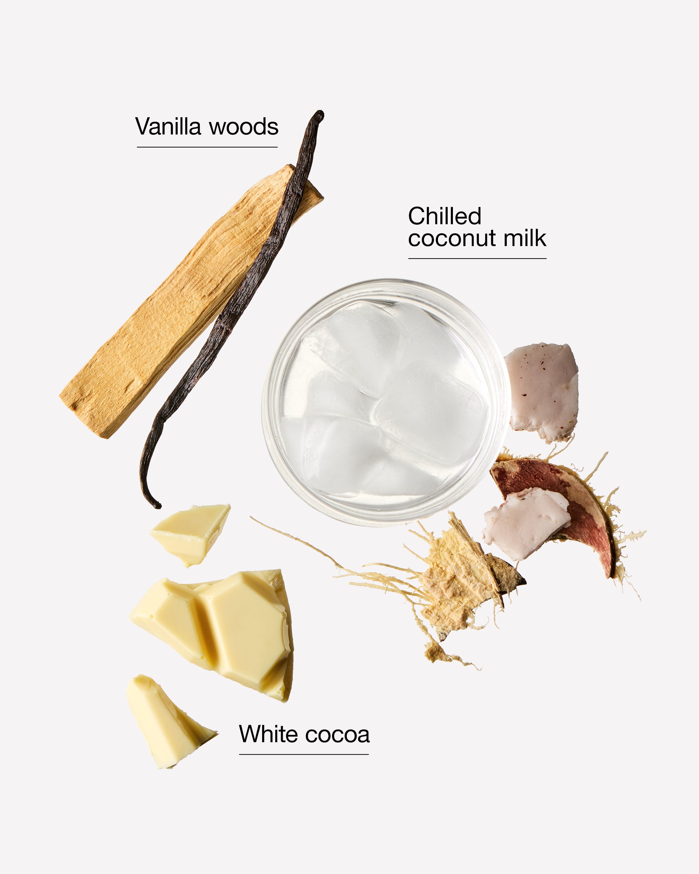 Vanilla Cocoa Flurries Body Lotion