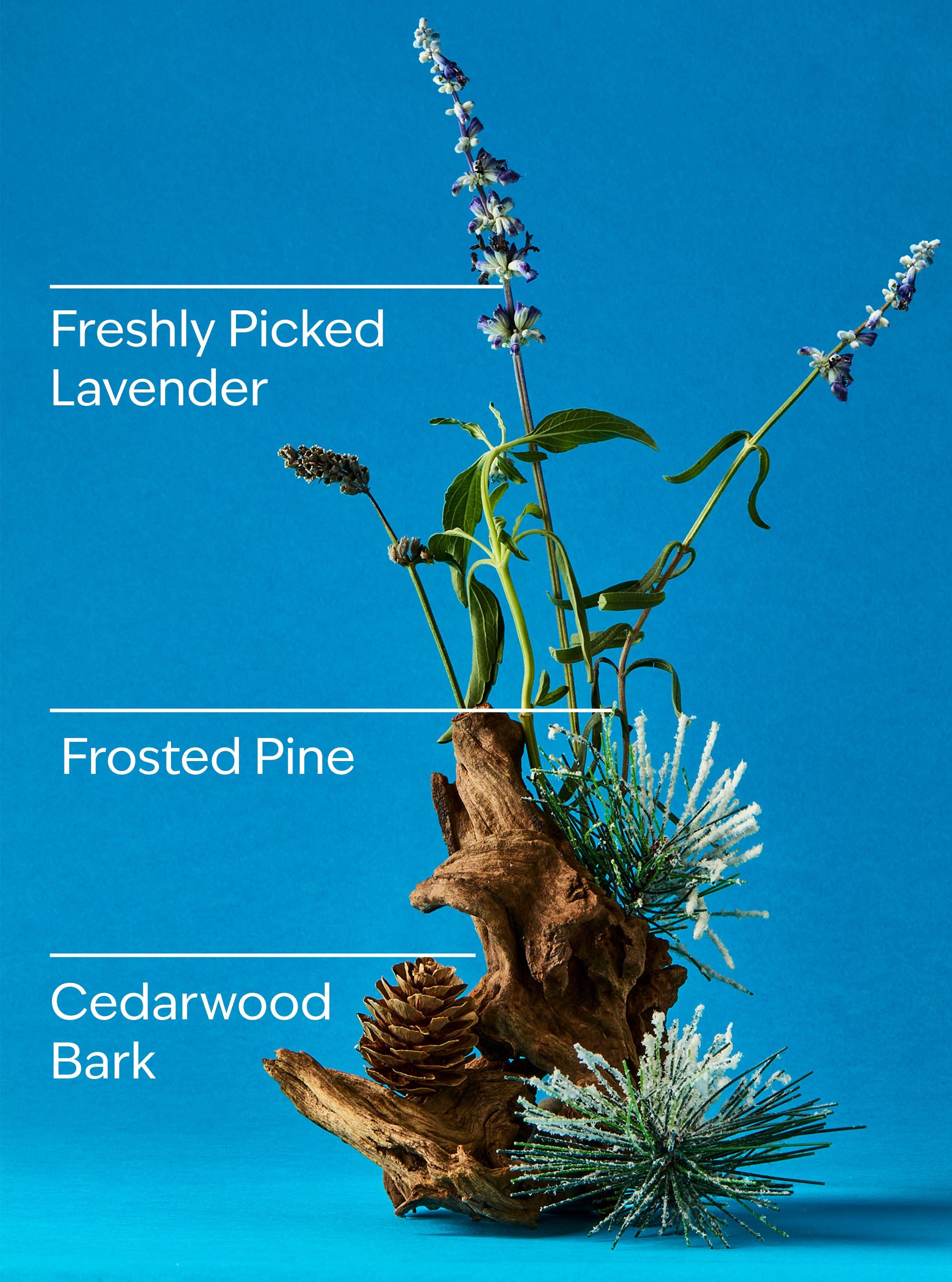 Lavender Pine Cleansing Gel Hand Soap