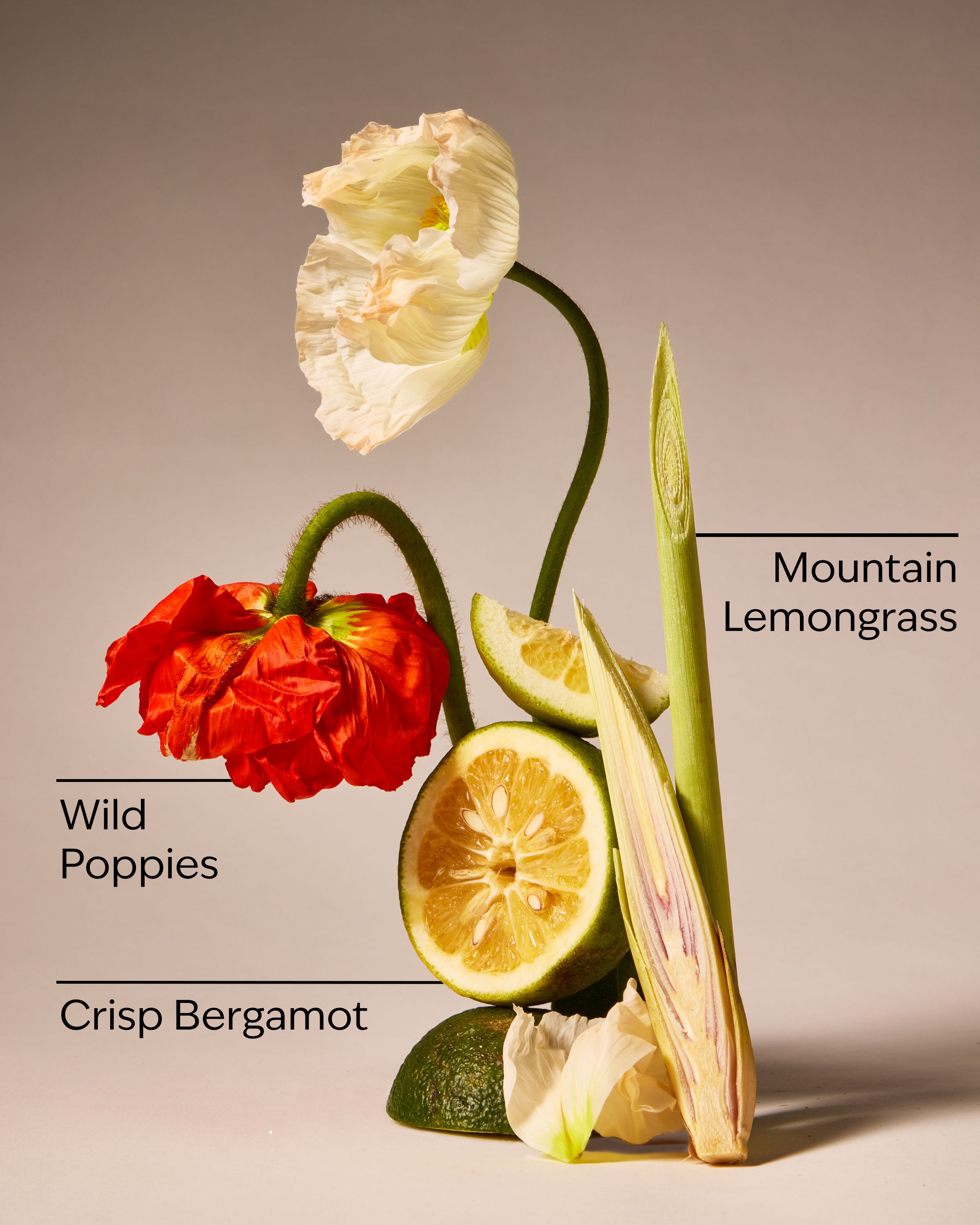 Mountainside Wildflower 3-Wick Candle