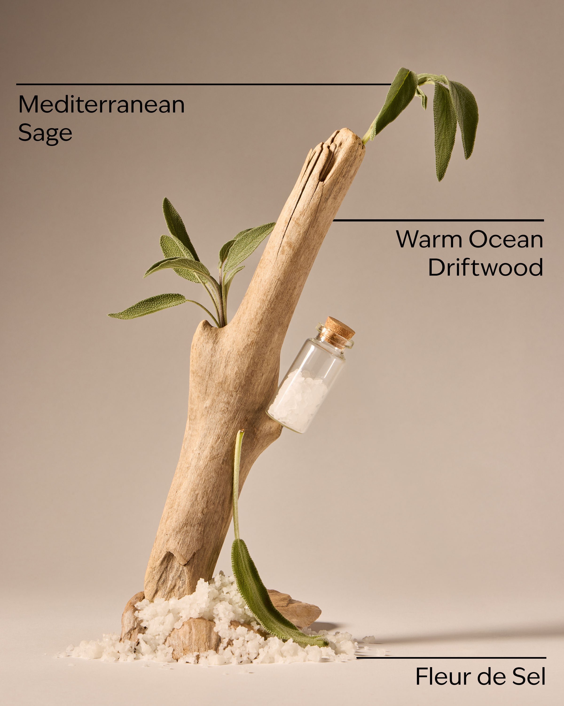 Sea Salt & Driftwood Concentrated Room Spray