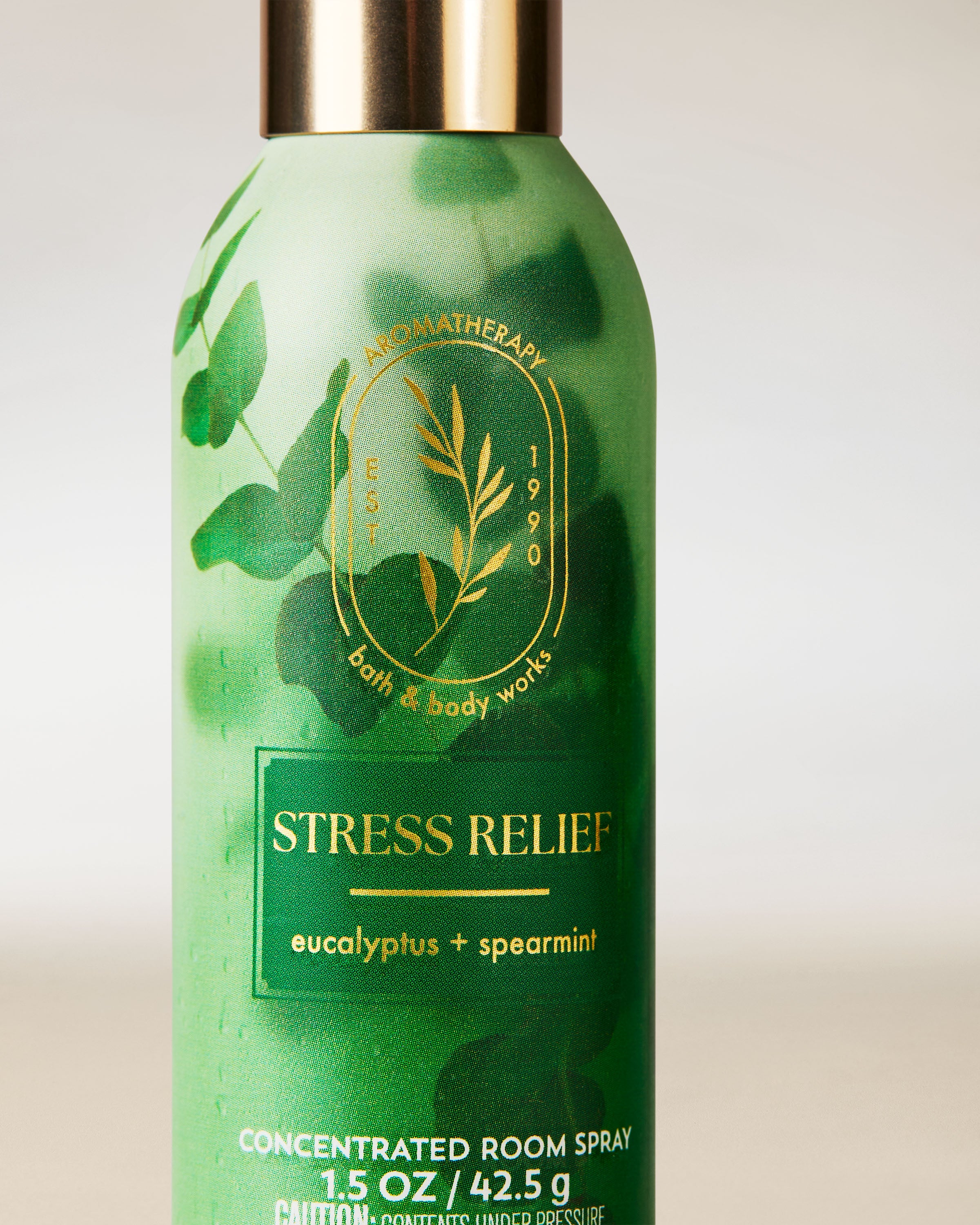 Eucalyptus Spearmint Concentrated Room Spray