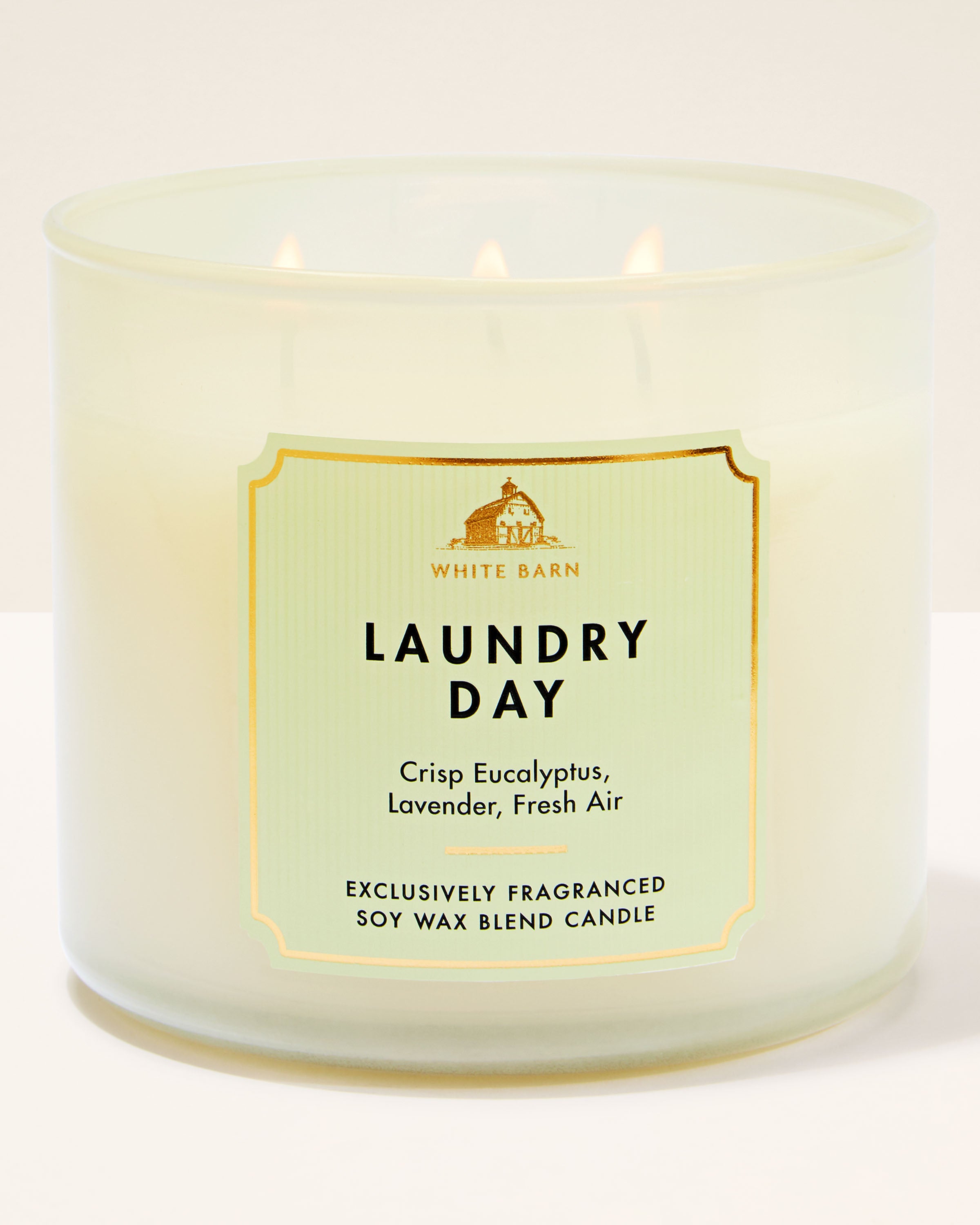 Laundry Day 3-Wick Candle