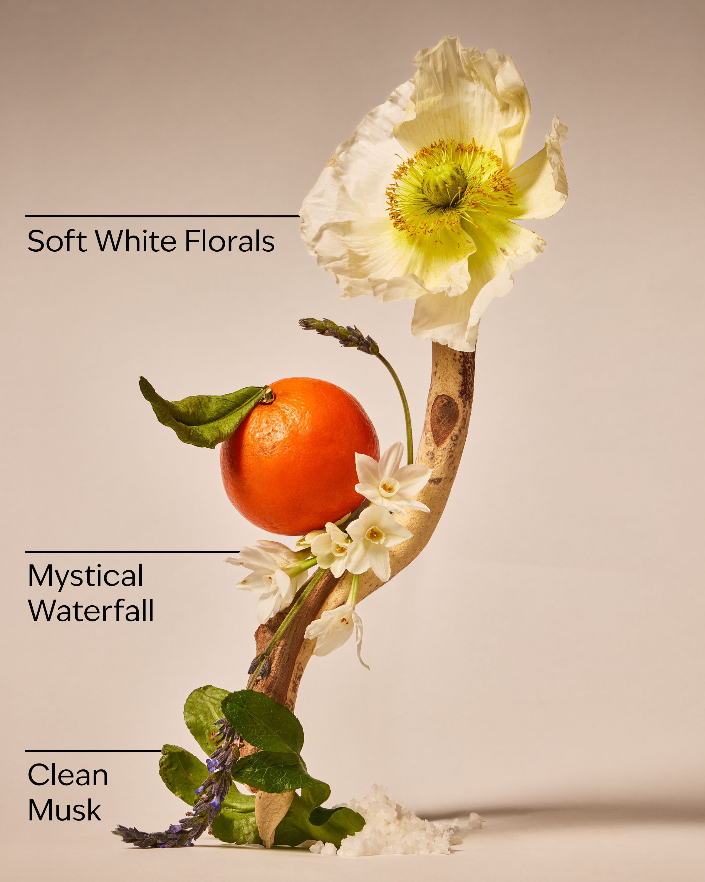 Enchanted Waterfalls Wallflowers Refills 2-Pack