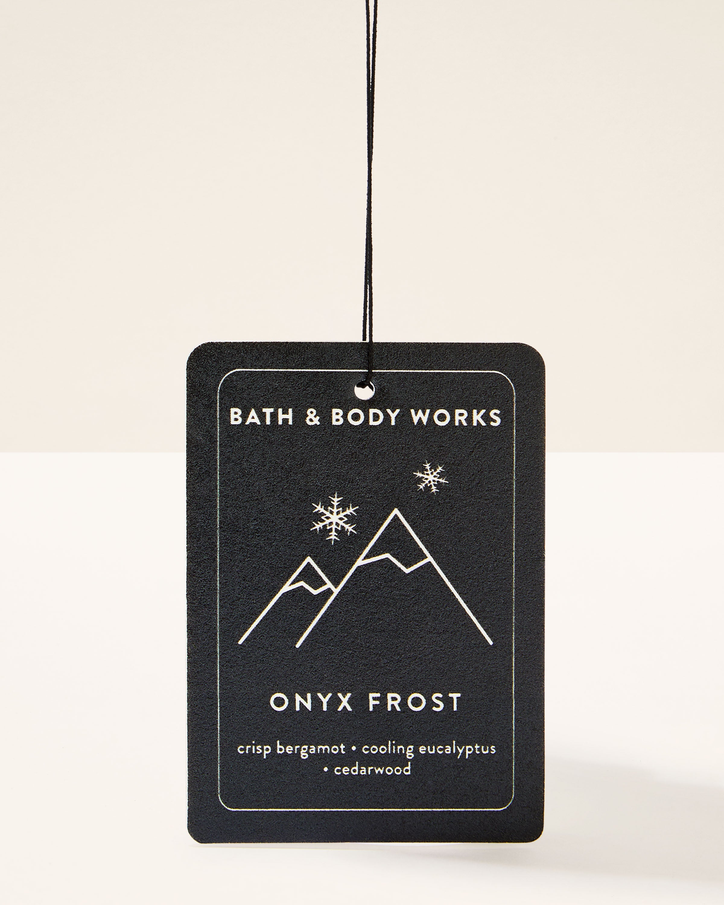 Onyx Frost Hanging Fragrance Diffuser