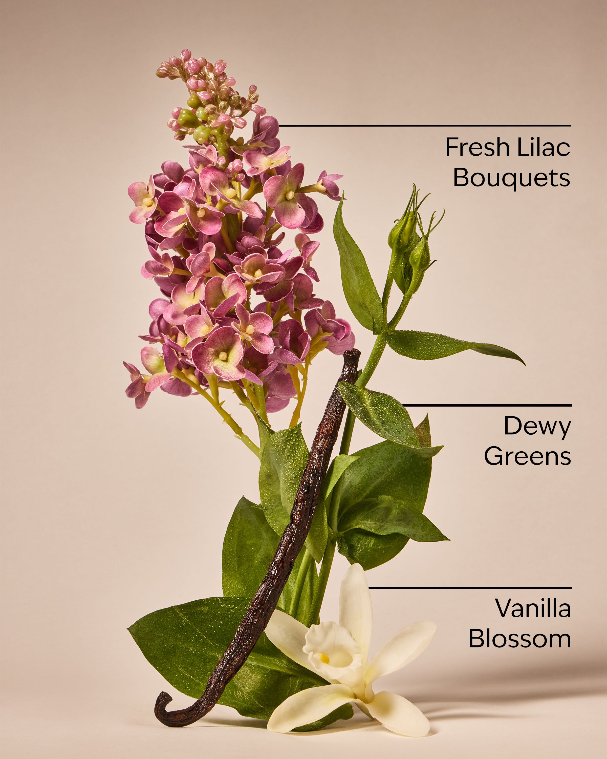 Pink Lilac & Vanilla 3-Wick Candle