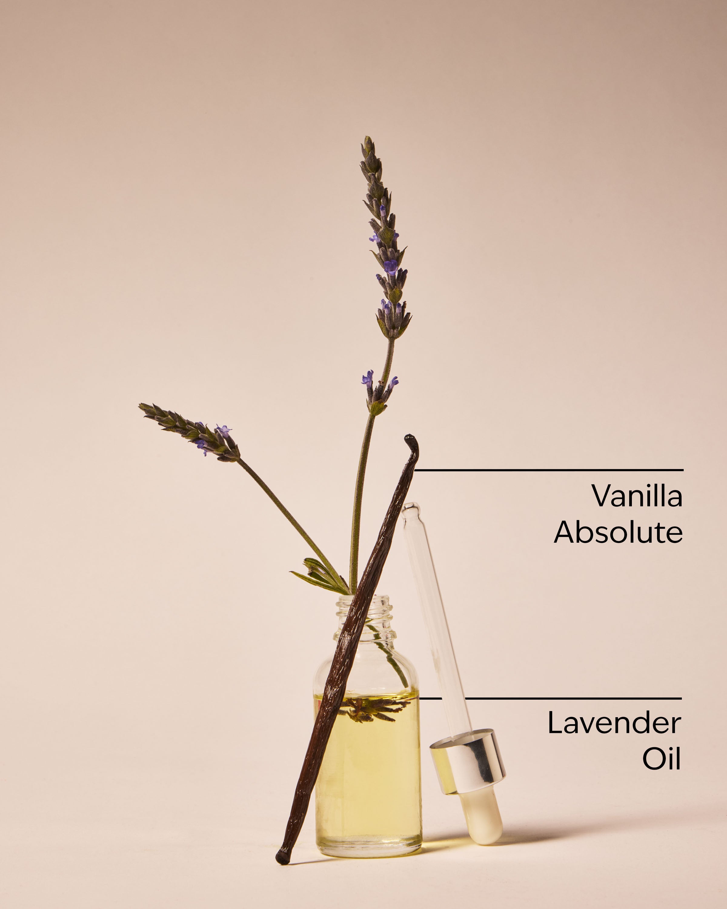 Lavender Vanilla Moisturizing Body Wash