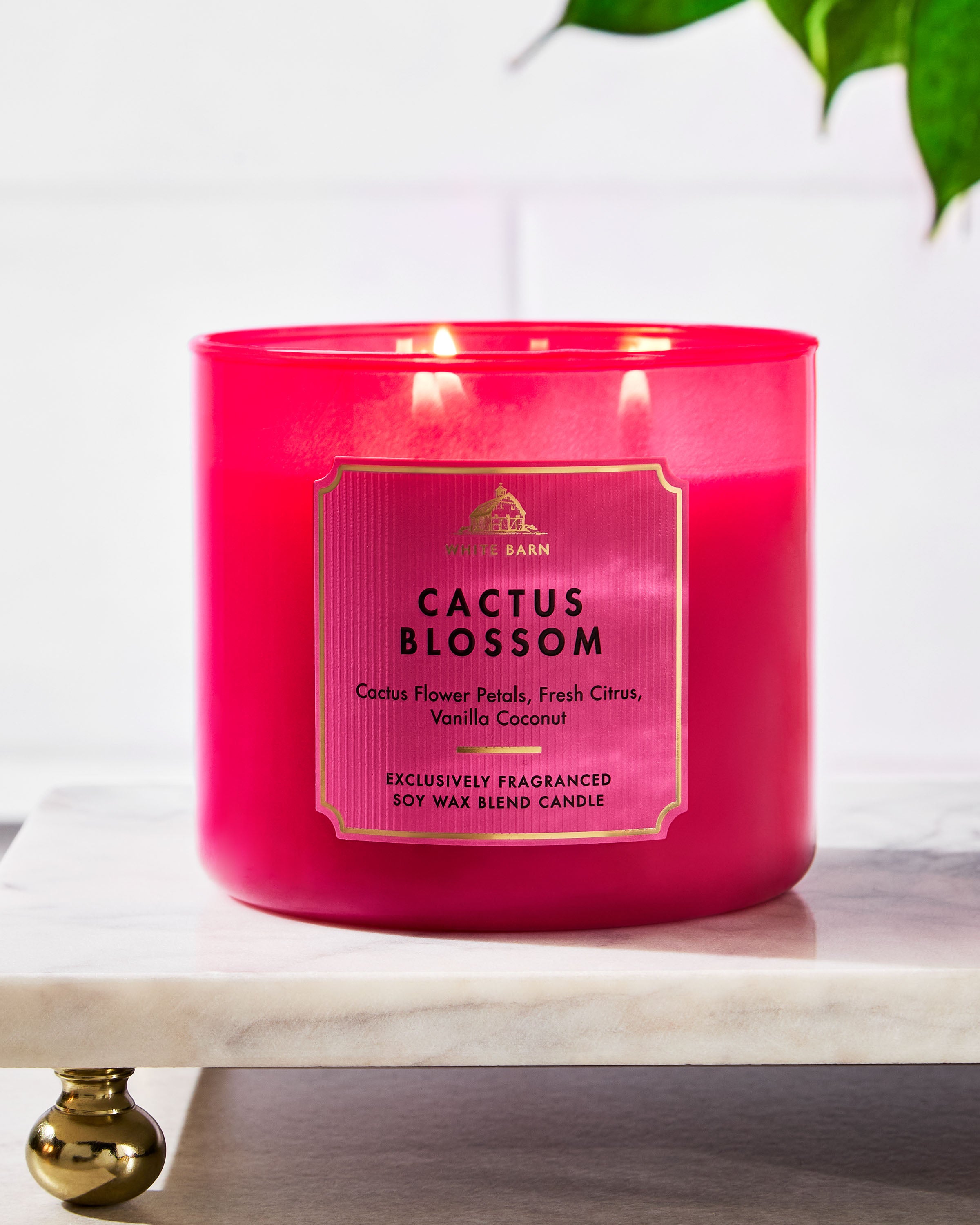 Cactus Blosom 3-Wick Candle