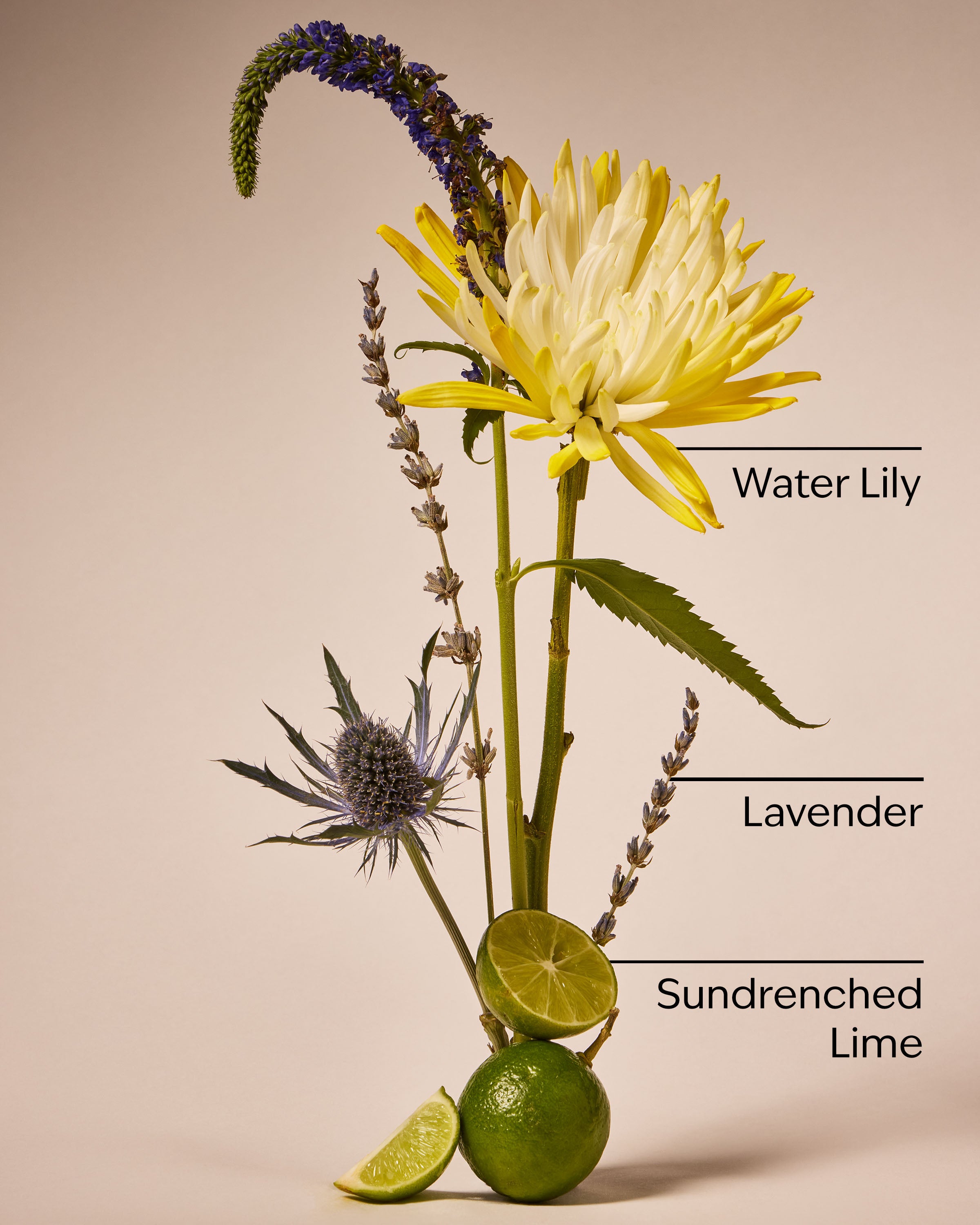 Coastal Air Cleansing Gel Hand Soap